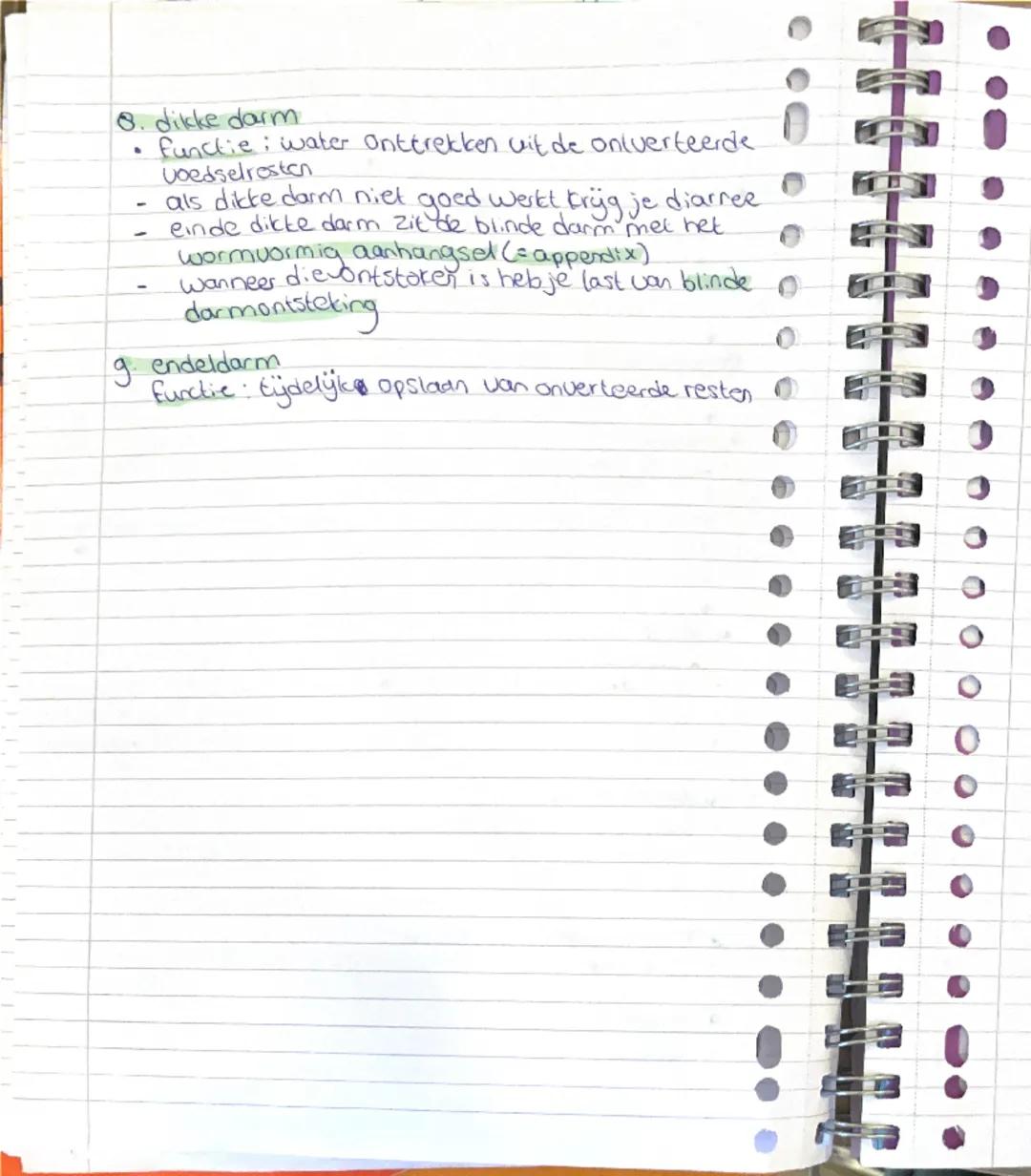 stol 3
recteerd
bedsel naar
ornen
0
.
Weg die ons voedsel aflegt 7
1. mondholte
de organen voor vete.ng
*   gebit voedsel verkleinen en opp.