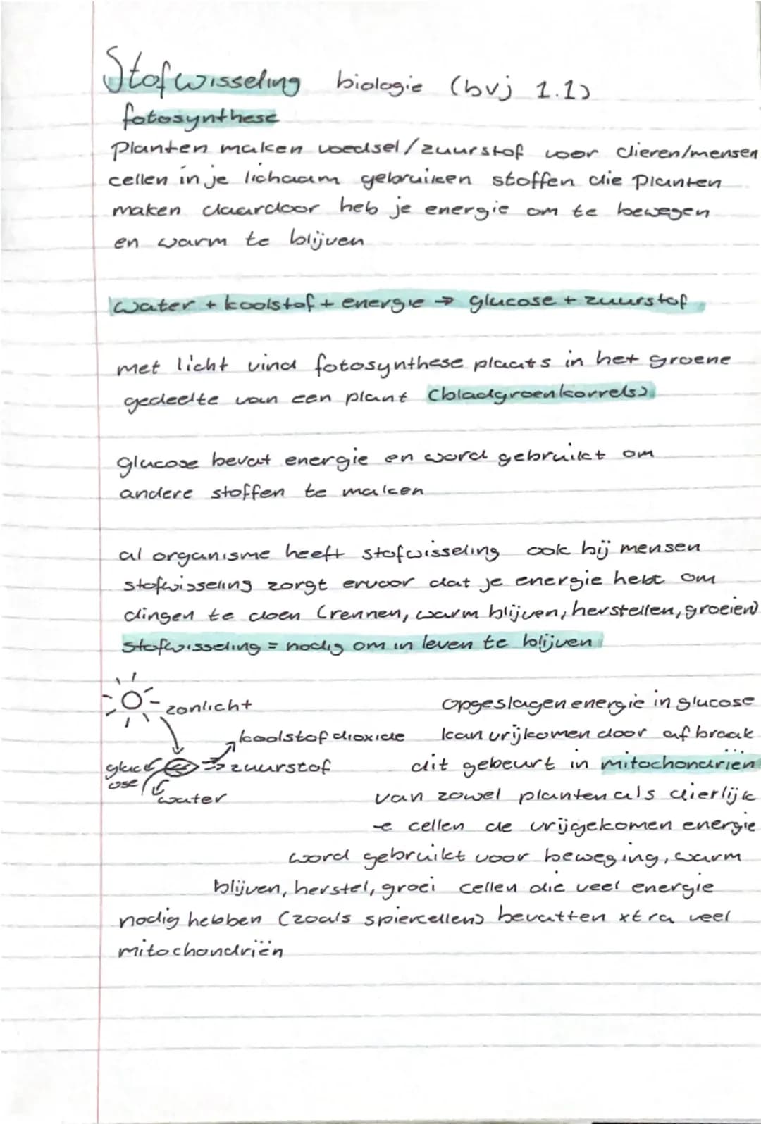 Stofwisseling biologie (bvj 1.1)
fotosynthese
Planten maken voedsel/zuurstof voor dieren/mensen
cellen in je lichaam gebruiken stoffen die p