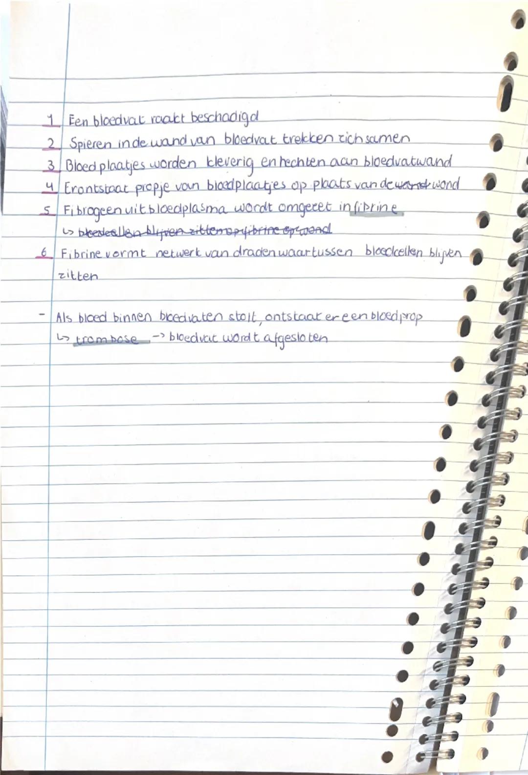 # BIOLOGIE

Samenstelling van bloed

- 55% bloedplasma = gelig
- 45% rode, en wilte bikecdicellen & bloedplaatjes,

↳ functie bloed is vervo