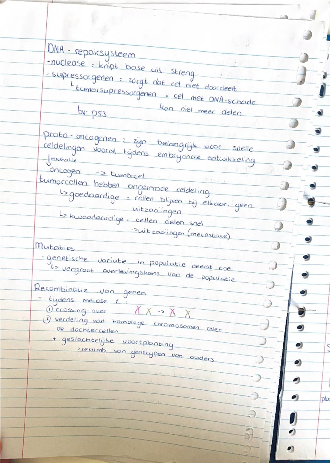 # Biologie - DNA

1: bouw van DNA

DNA bestaat uit nucleotiden


[diagram of nucleotide]




elke DNA-streng heeft een bepaalde richting:

[