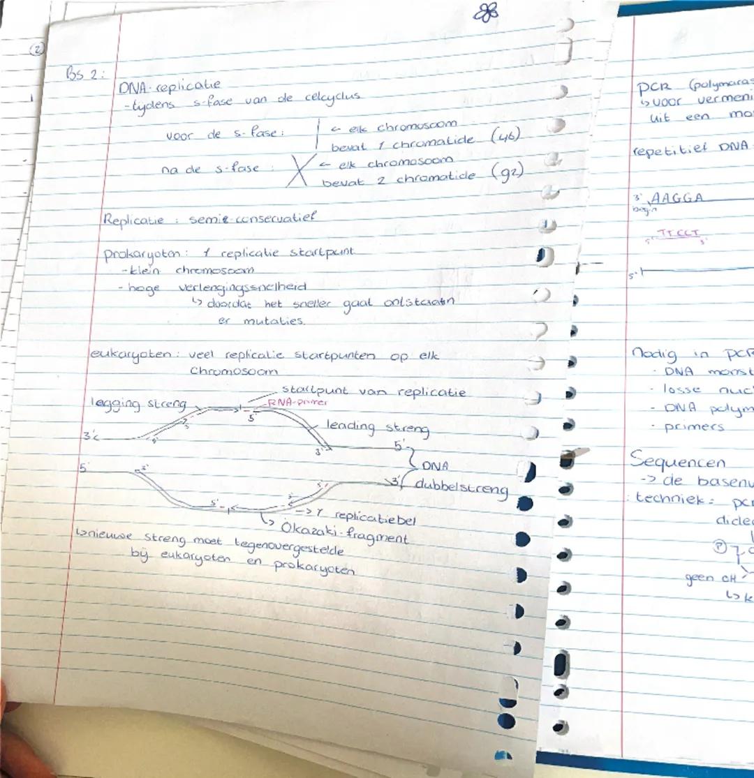# Biologie - DNA

1: bouw van DNA

DNA bestaat uit nucleotiden


[diagram of nucleotide]




elke DNA-streng heeft een bepaalde richting:

[