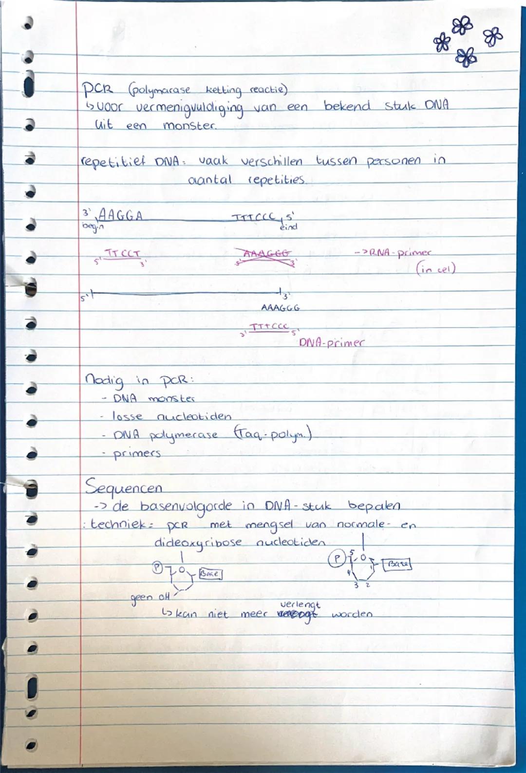 # Biologie - DNA

1: bouw van DNA

DNA bestaat uit nucleotiden


[diagram of nucleotide]




elke DNA-streng heeft een bepaalde richting:

[