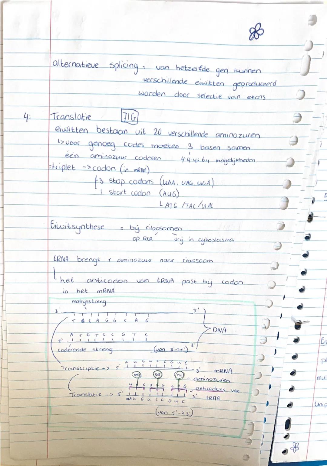 # Biologie - DNA

1: bouw van DNA

DNA bestaat uit nucleotiden


[diagram of nucleotide]




elke DNA-streng heeft een bepaalde richting:

[