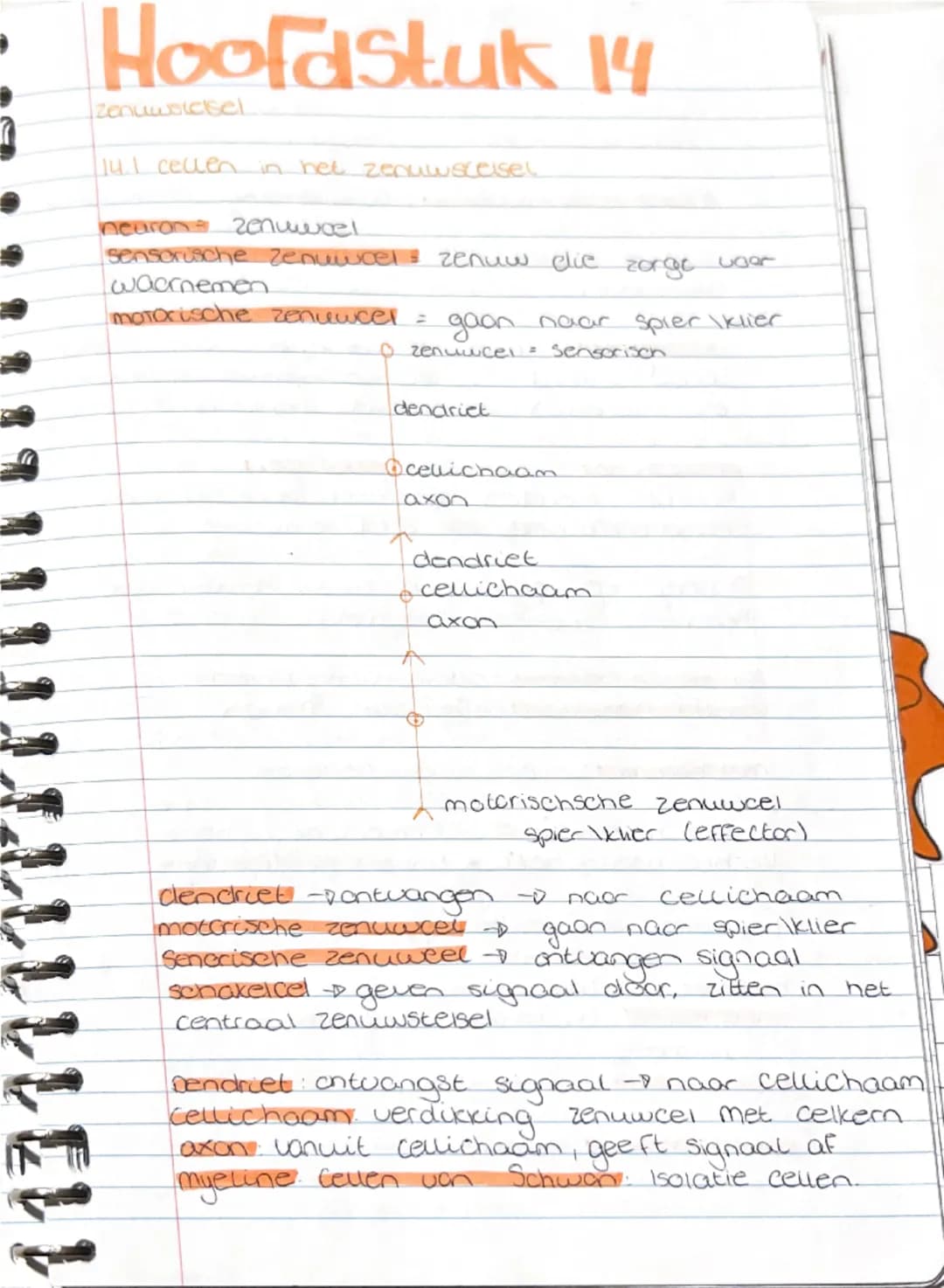 Biologie aantekingen