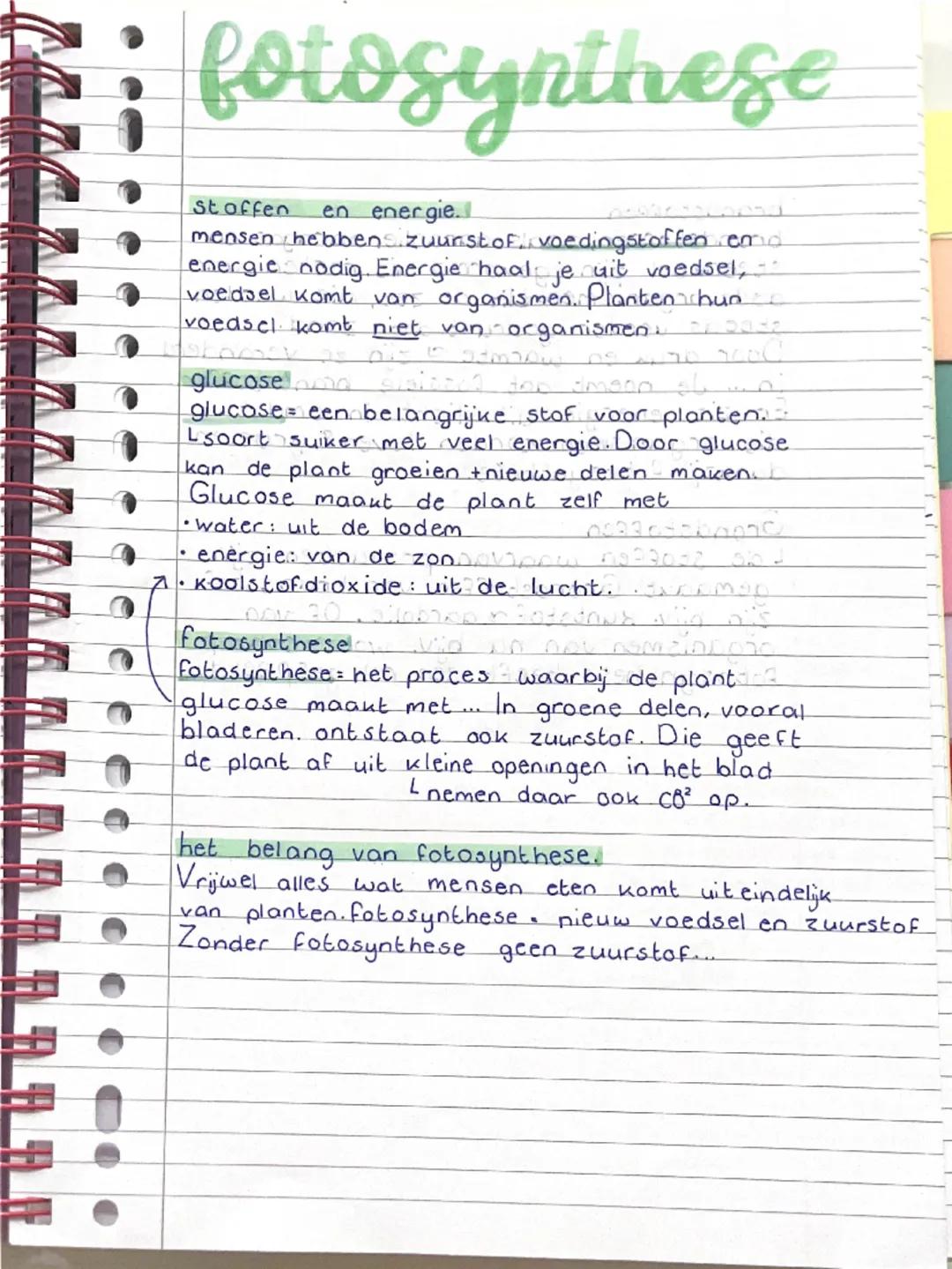 Wat is fotosynthese?