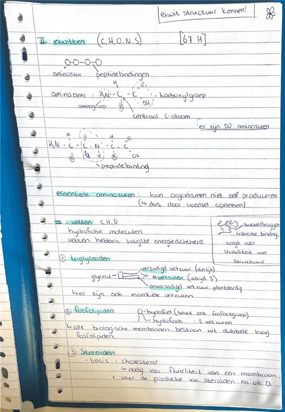 Biologie - Stofwisseling
1: Chemie in cellen
Stofwisseling alle chemische reacties van een organisme
(metabolisme)
↳ stoff stufwisselingspro