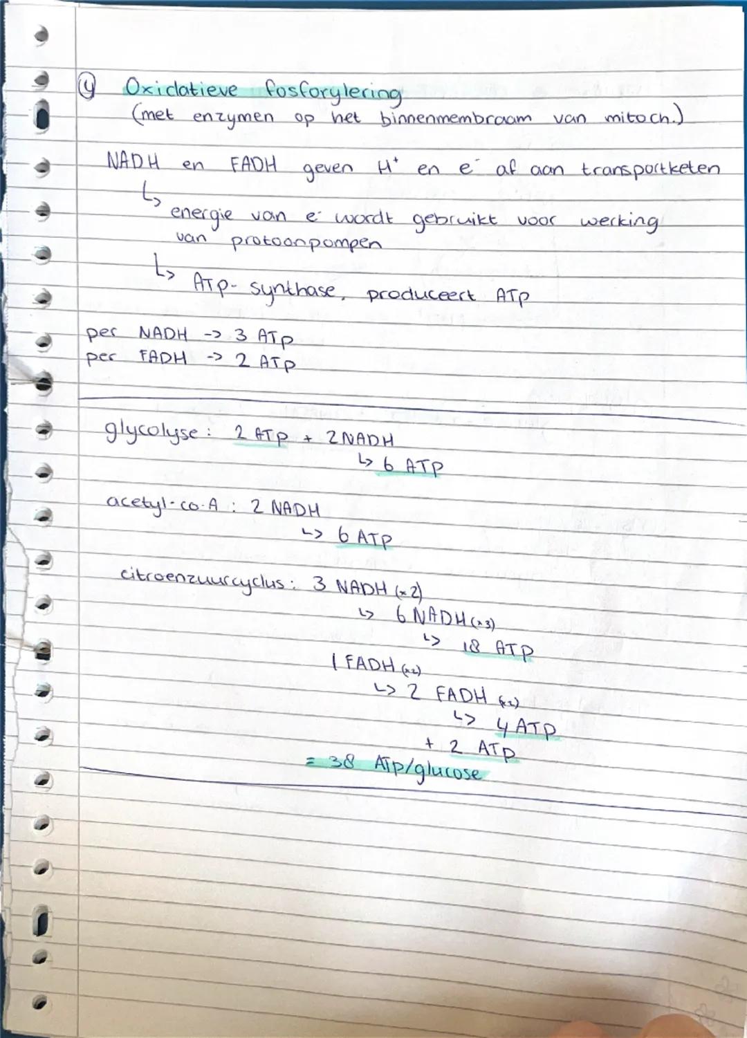 Biologie - Stofwisseling
1: Chemie in cellen
Stofwisseling alle chemische reacties van een organisme
(metabolisme)
↳ stoff stufwisselingspro