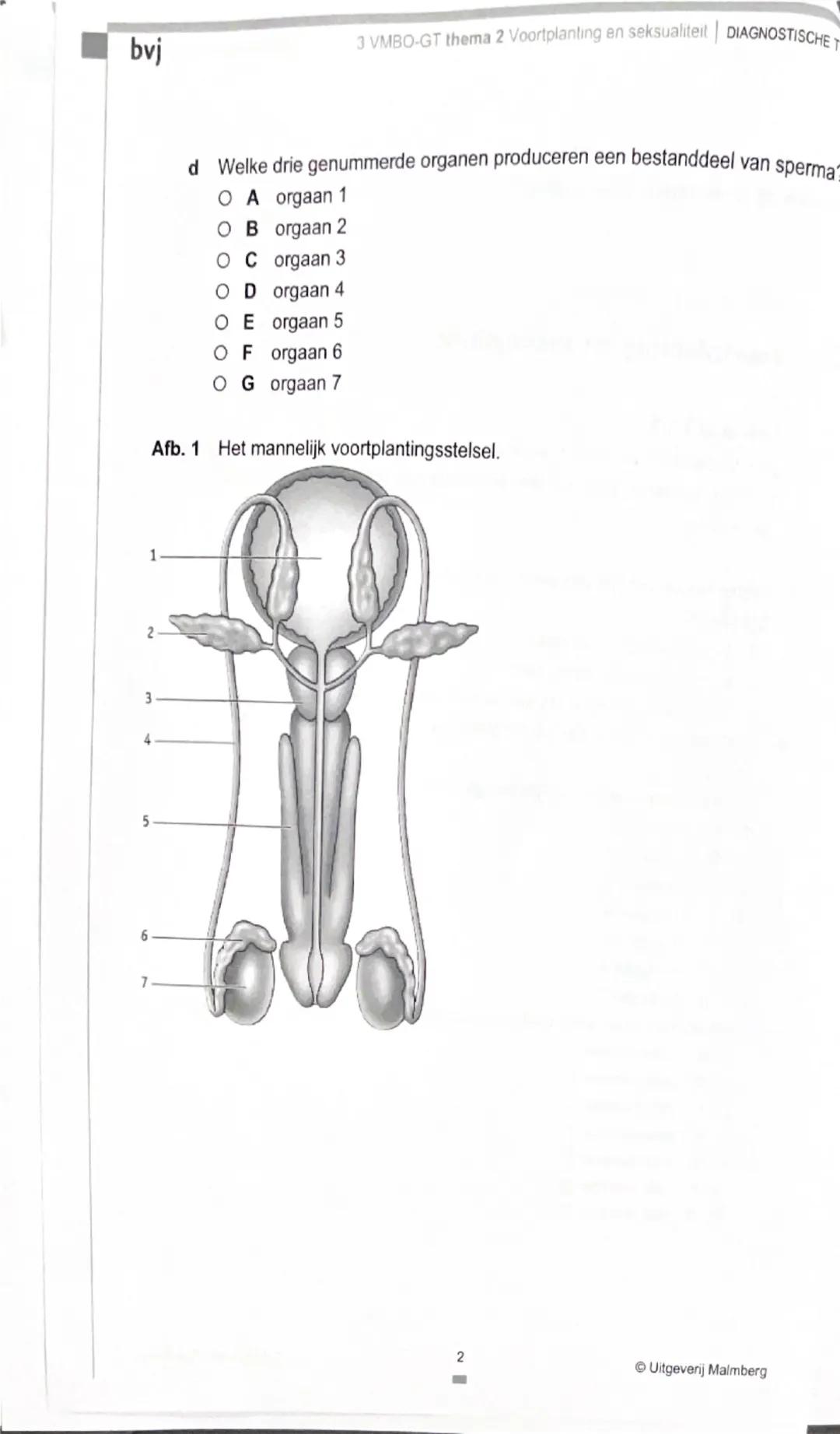 bvj
3 VMBO-GT thema 2 Voortplanting en seksualiteit | DIAGNOSTISCHE TOETS

Je kunt de opdrachten van de Diagnostische toets maken om je voor