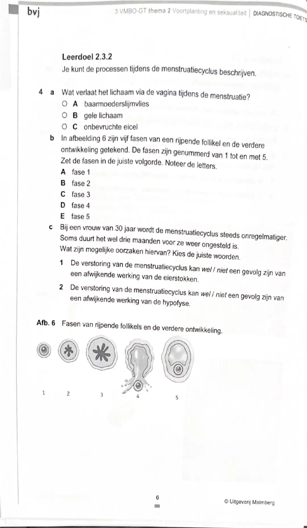 bvj
3 VMBO-GT thema 2 Voortplanting en seksualiteit | DIAGNOSTISCHE TOETS

Je kunt de opdrachten van de Diagnostische toets maken om je voor