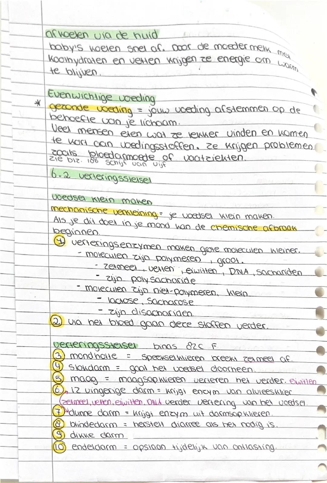 • Biologie
6.1 Gezonde voeding
Behoefte aan energie
energie gebruik je voor Piekeren, groei, hersiel, omgevings-
temperatuur, hormonen, warm