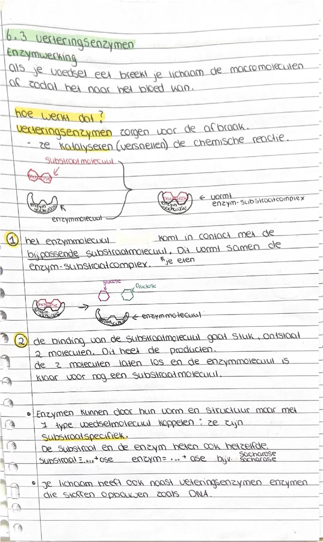 • Biologie
6.1 Gezonde voeding
Behoefte aan energie
energie gebruik je voor Piekeren, groei, hersiel, omgevings-
temperatuur, hormonen, warm