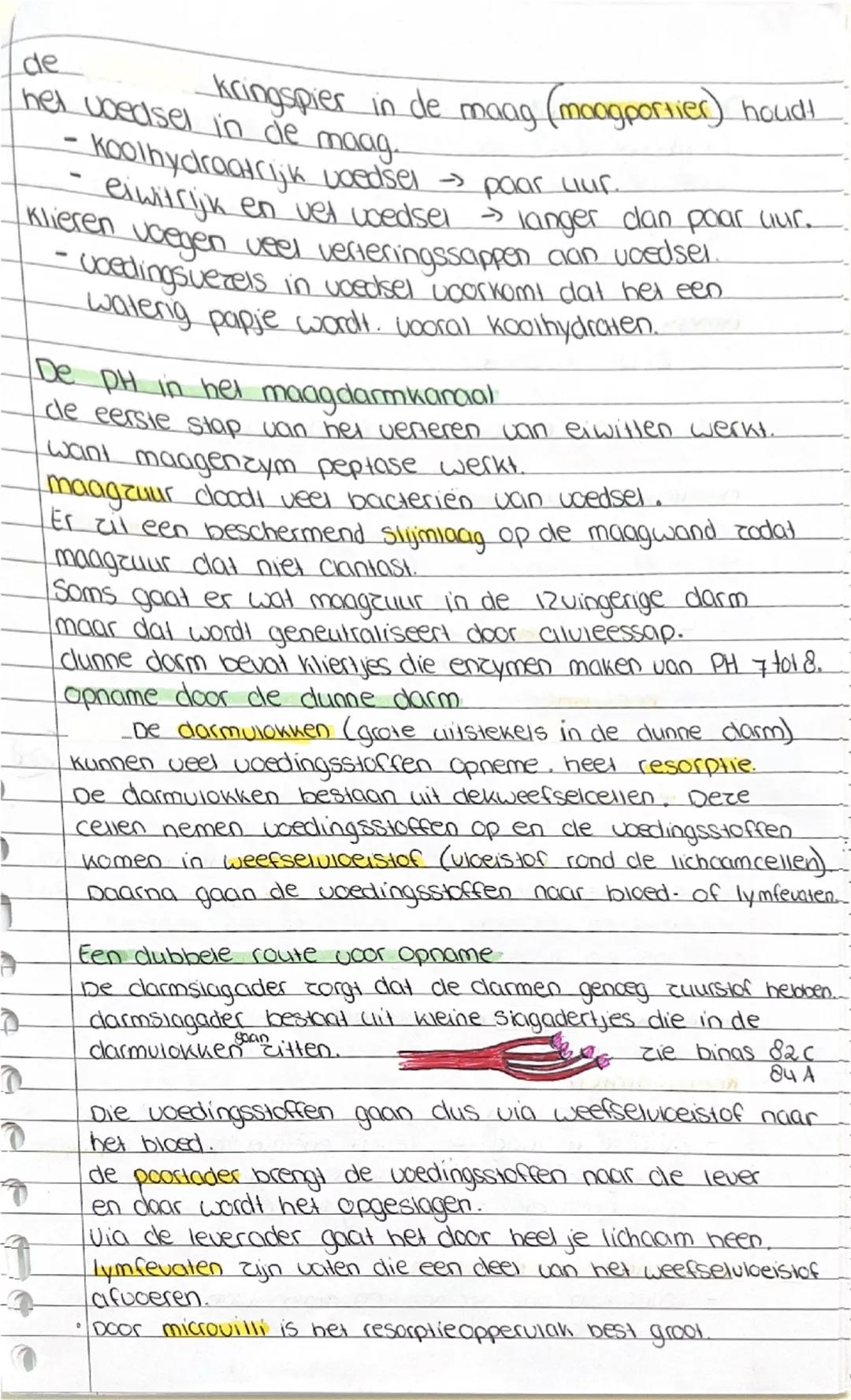 • Biologie
6.1 Gezonde voeding
Behoefte aan energie
energie gebruik je voor Piekeren, groei, hersiel, omgevings-
temperatuur, hormonen, warm