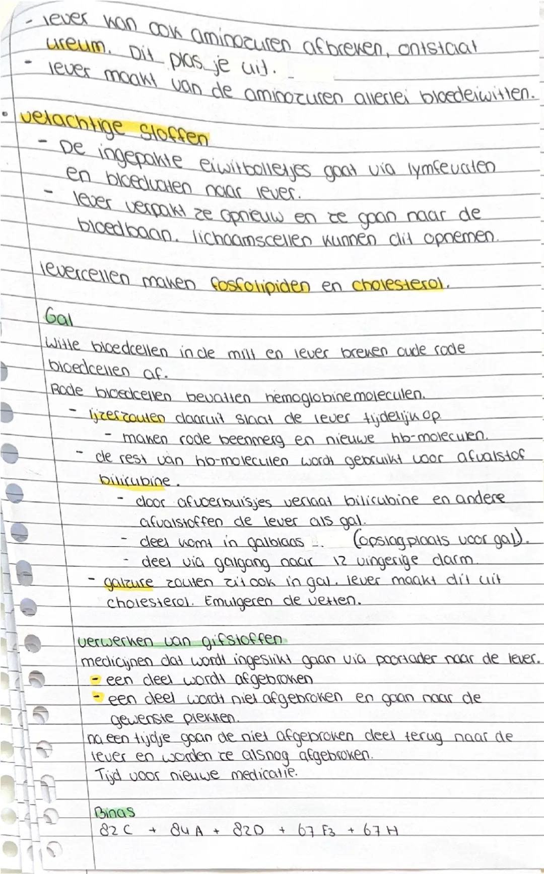 • Biologie
6.1 Gezonde voeding
Behoefte aan energie
energie gebruik je voor Piekeren, groei, hersiel, omgevings-
temperatuur, hormonen, warm