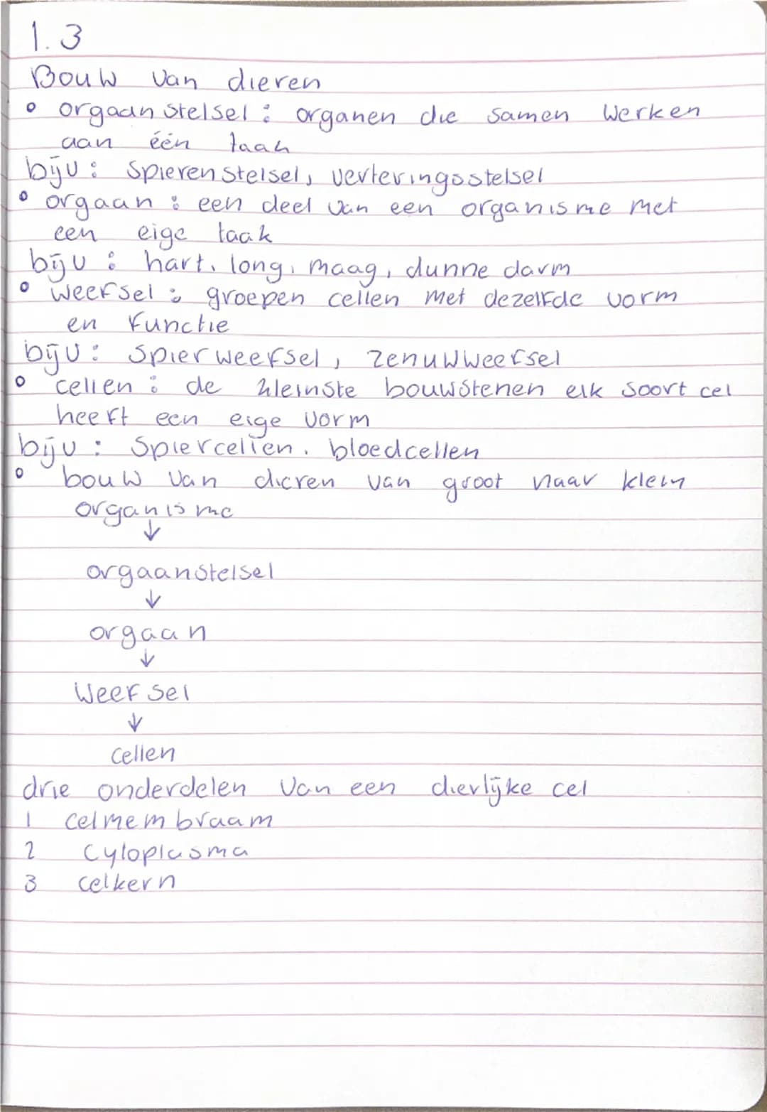 Biologie dierenrijk 