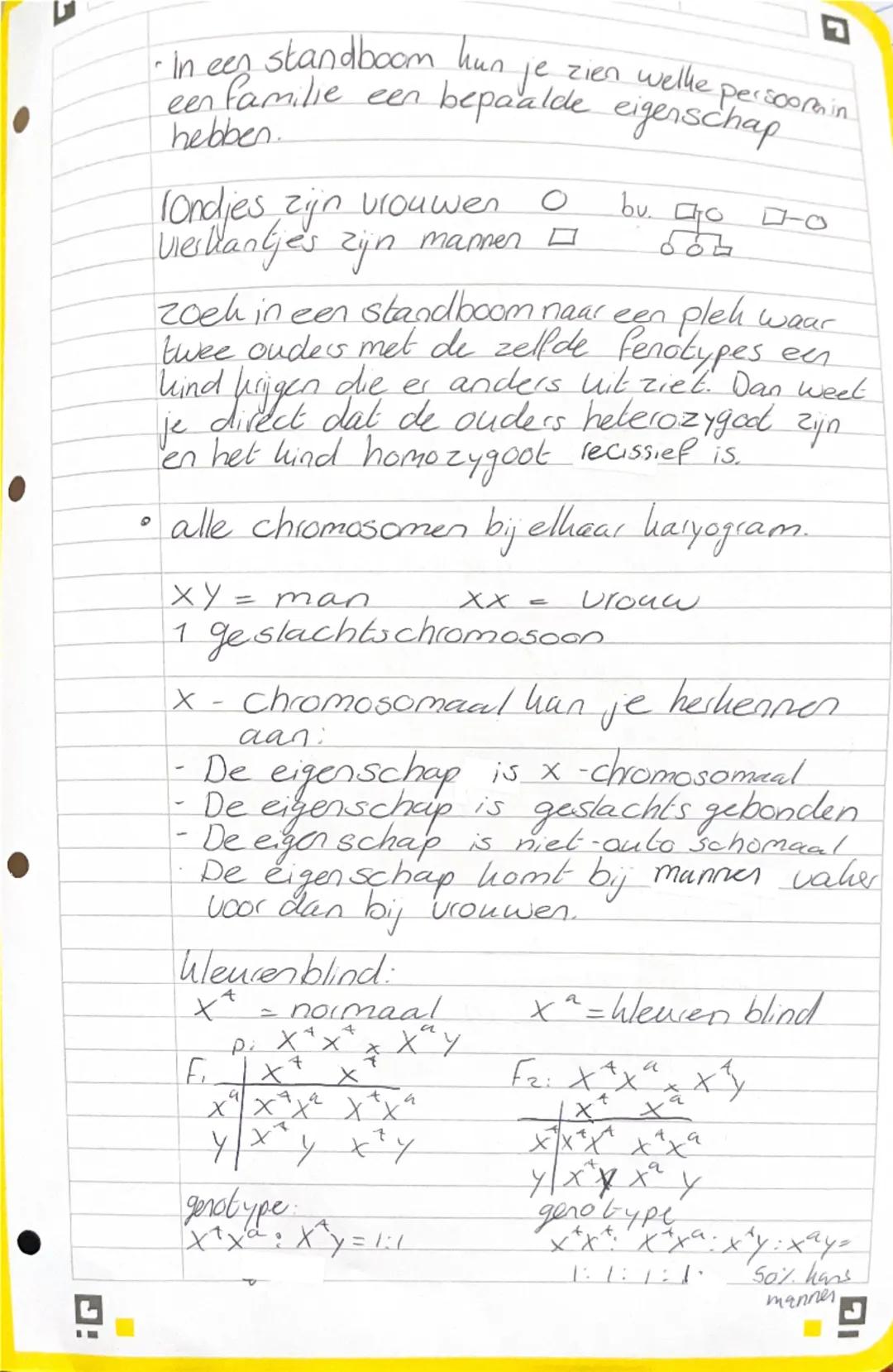 0
# Thema 5 erfelijkheid

*   ongeslachtelijke voort planting =
    een deel van een organisme groeit uit
    tot een nieuw organisme. Hier 