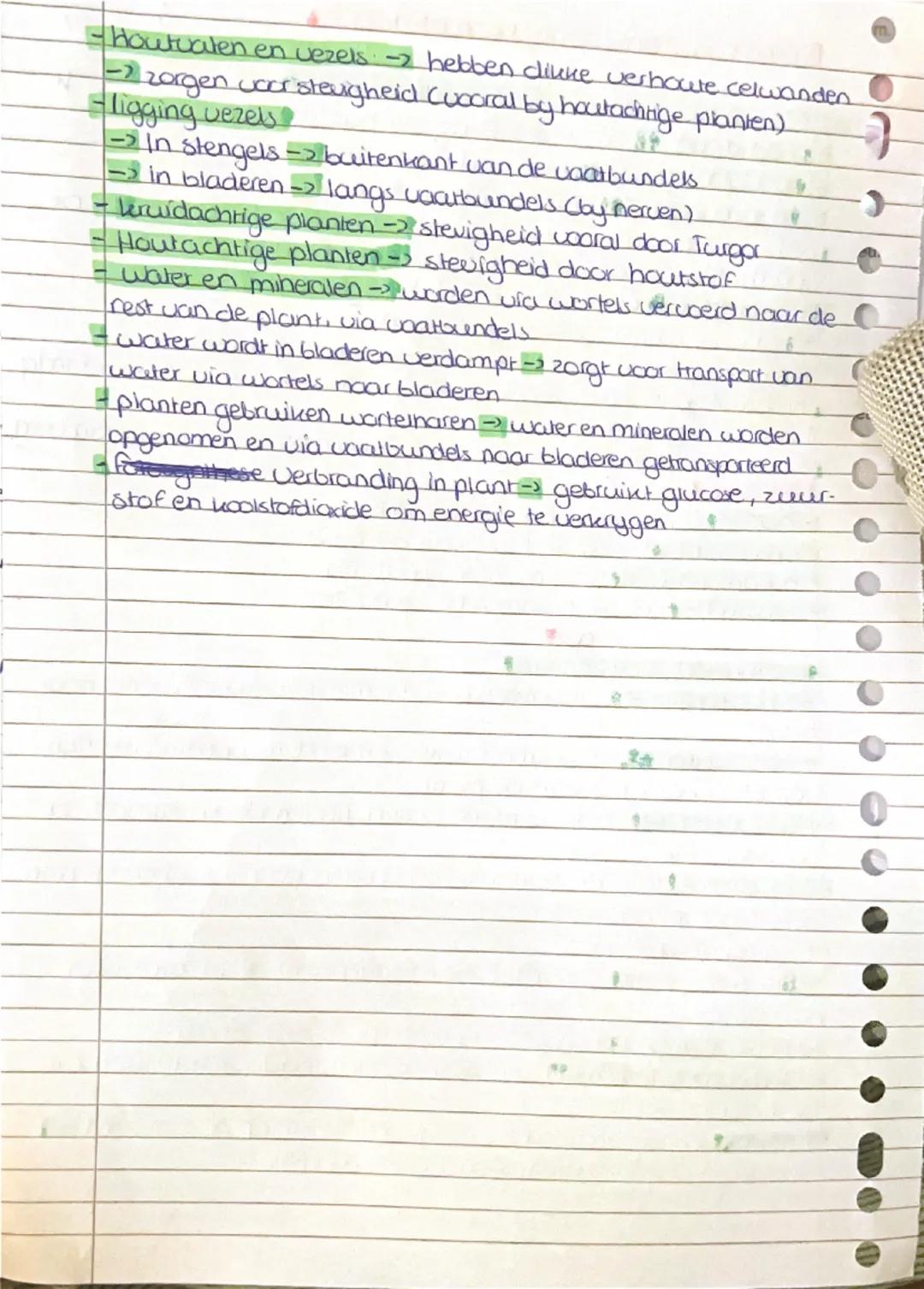 Biologie samenvatting hoofdstuk g

bladeren bestaan uit verschillende weefsels

→ opperbuid gasuitwisseling via huidmondjes

→bladgrænkorrel