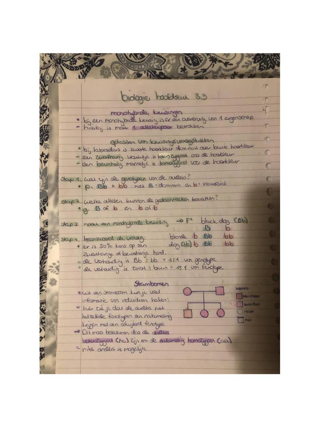 ## biologie hoofdstuk 3.1

* genotype: informatie voor alle erfelijke eigenschappen van een individu
* fenotype: wat je aan de buitenkant zi