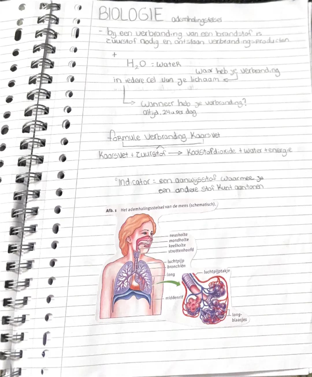 # BIOLOGIE ademhdingstelsel.

- bij een verbranding van een brandstof is
zuurstof nodig en ontstaan verbrandingsproducten
+
$H_2O$: Water

i
