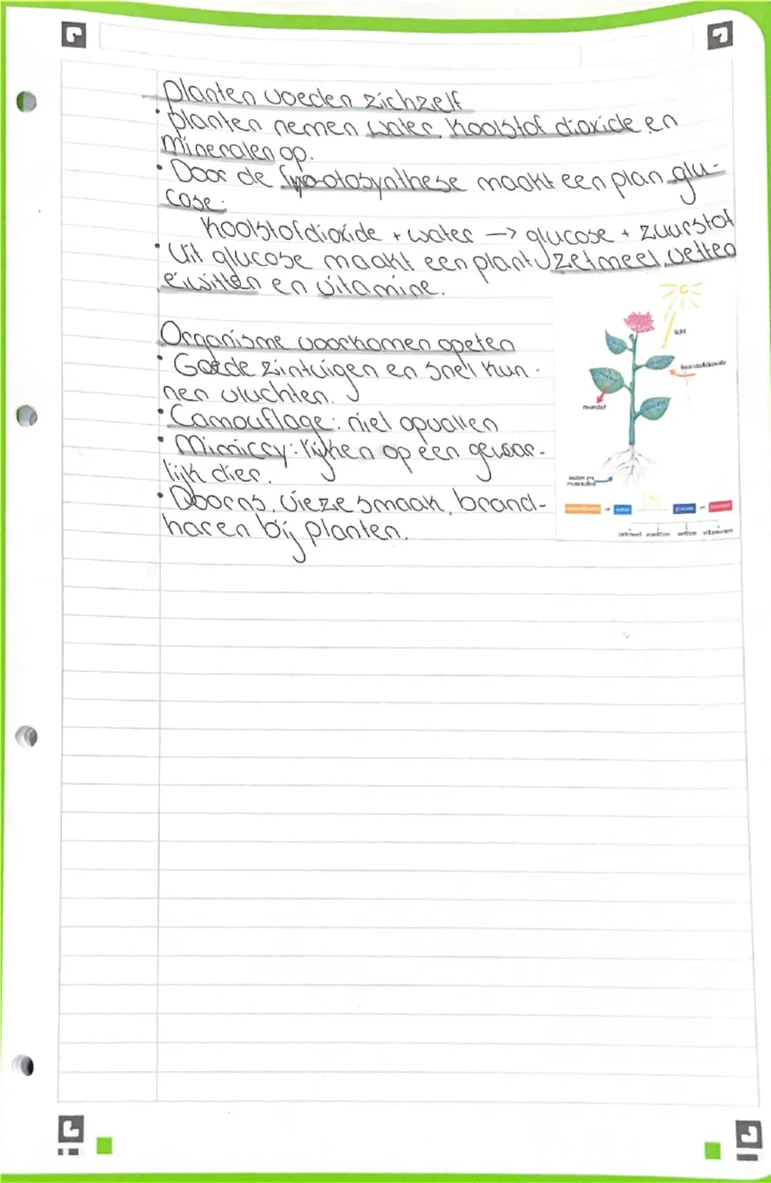 Biologie
13.17m 13.4

13.1 eten
- Je kunt aan het gebit en de darmen zien van zoogdieren
wat ze eten.
- Je kunt uilleggen waardoor plantaard