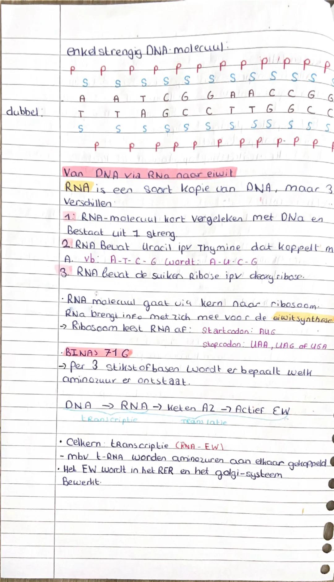 # 2.2: DNA en specialisatie van colden

Bouw en DNA

- Bij alle levens processen zijn eiwitten betrokken.

- Cellen gebruiken Ewals.

  - Bo