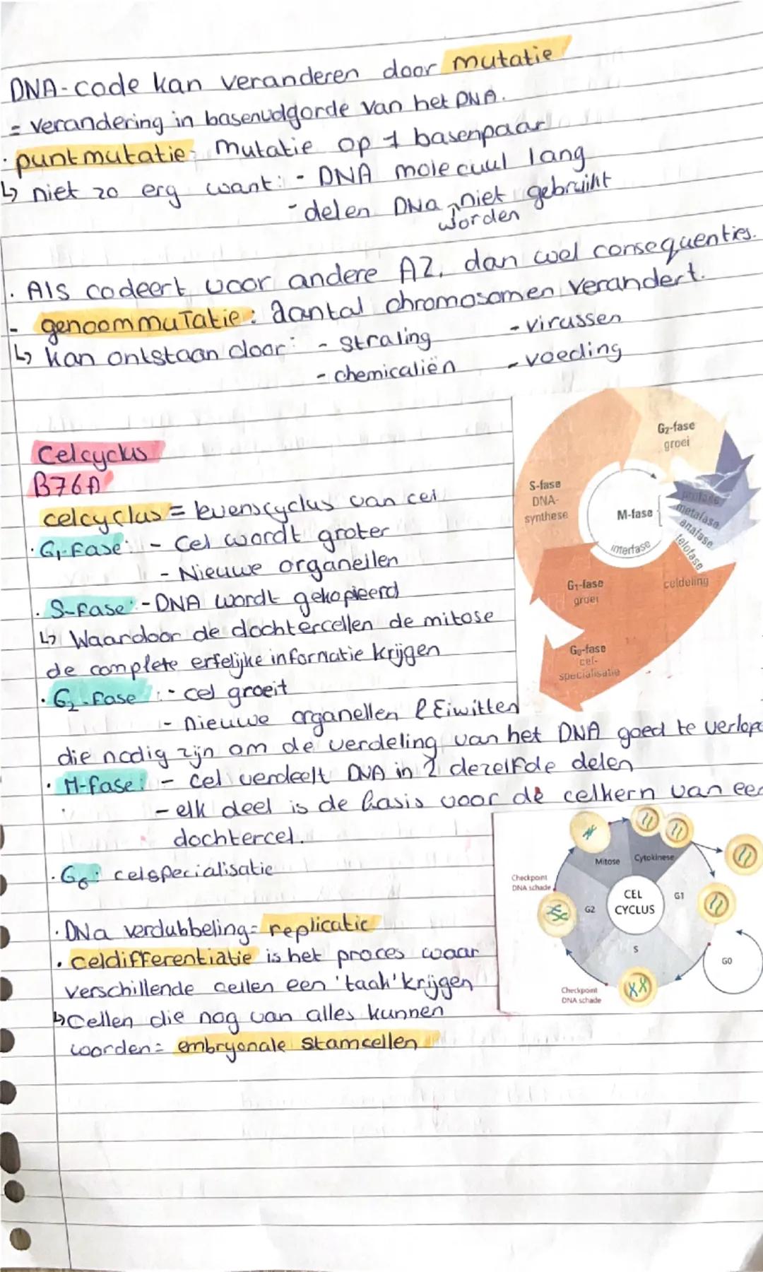 # 2.2: DNA en specialisatie van colden

Bouw en DNA

- Bij alle levens processen zijn eiwitten betrokken.

- Cellen gebruiken Ewals.

  - Bo