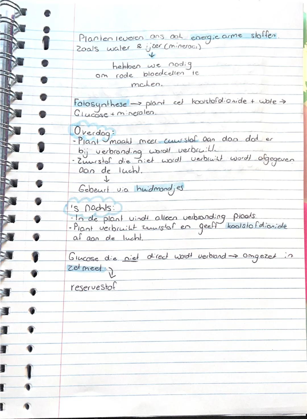 bi biologie ic

Hg Planten

Samenvatting 9.3

De stoffen waaruit organismen bestaan,
zijn in twee groepen te verdelen:
-Energierijke stoffen