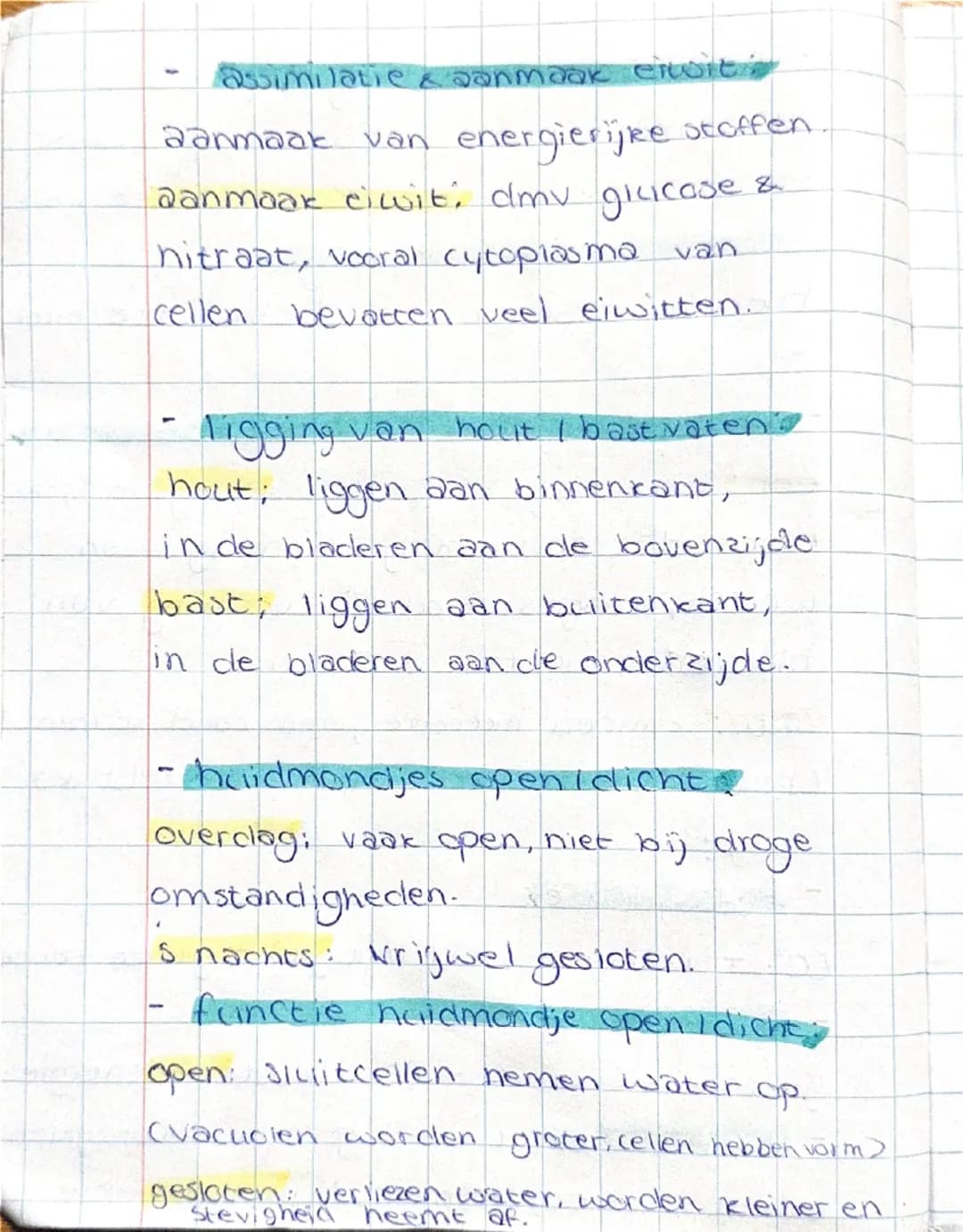 - assimilatie & aanmaak eiwit;

- aanmaak van energierijke stoffen.

- aanmaak eiwit; dmv glucose &
nitraat, vooral cytoplasma van
cellen be