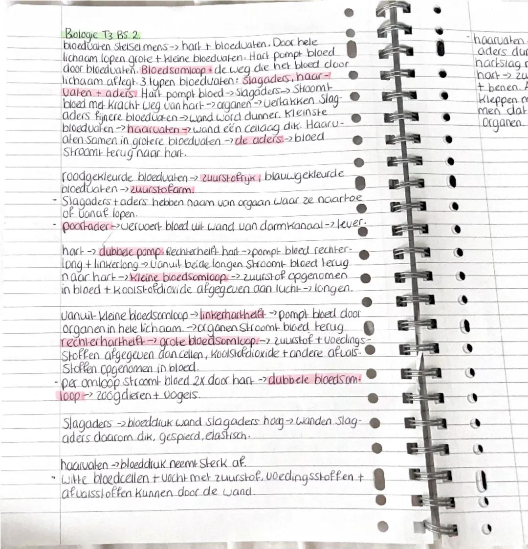 Biologie T3 BS. 2.
bloedvaten Stelsel mens hart + bloedvaten. Door hele
lichaam lopen grote + kleine bloedvaten. Hart pompt bloed
door bloed