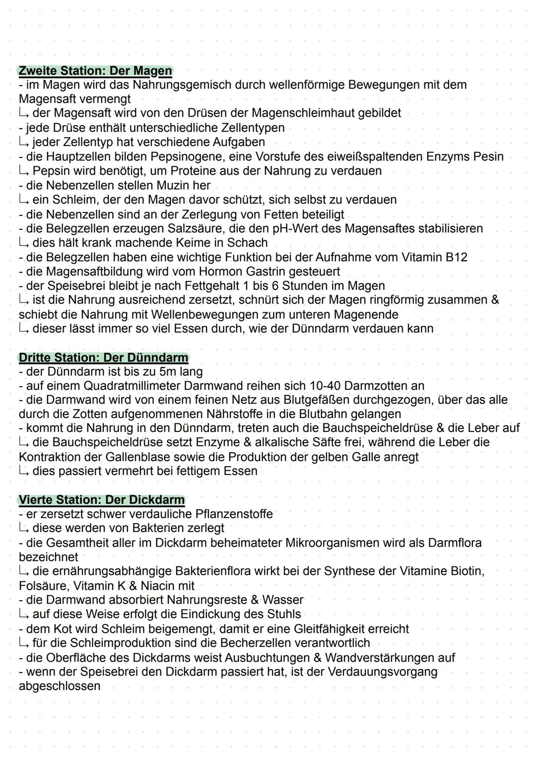 # Verdauung

Definition:
- das Verdauungssystem (Gastrointestinaltrakt) ermöglicht die Versorgung des Körpers mit
Energie & Nährstoffen
- di