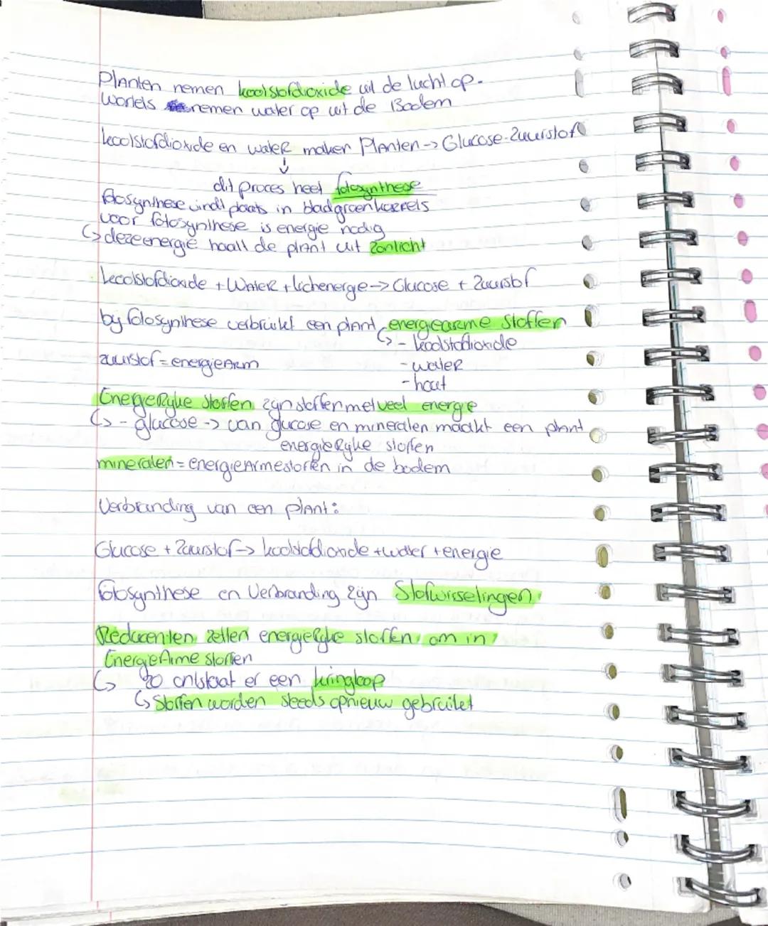 Bilogue-Ecologue-Basisstory

ten Rij organismen de elkaar tot voedsel dienen noemen we
een Coedselketeri
-Een ucedselleelen begint altijd me