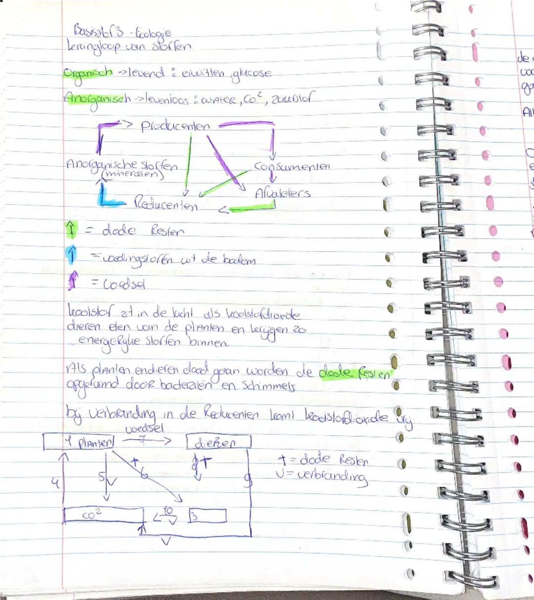 Bilogue-Ecologue-Basisstory

ten Rij organismen de elkaar tot voedsel dienen noemen we
een Coedselketeri
-Een ucedselleelen begint altijd me
