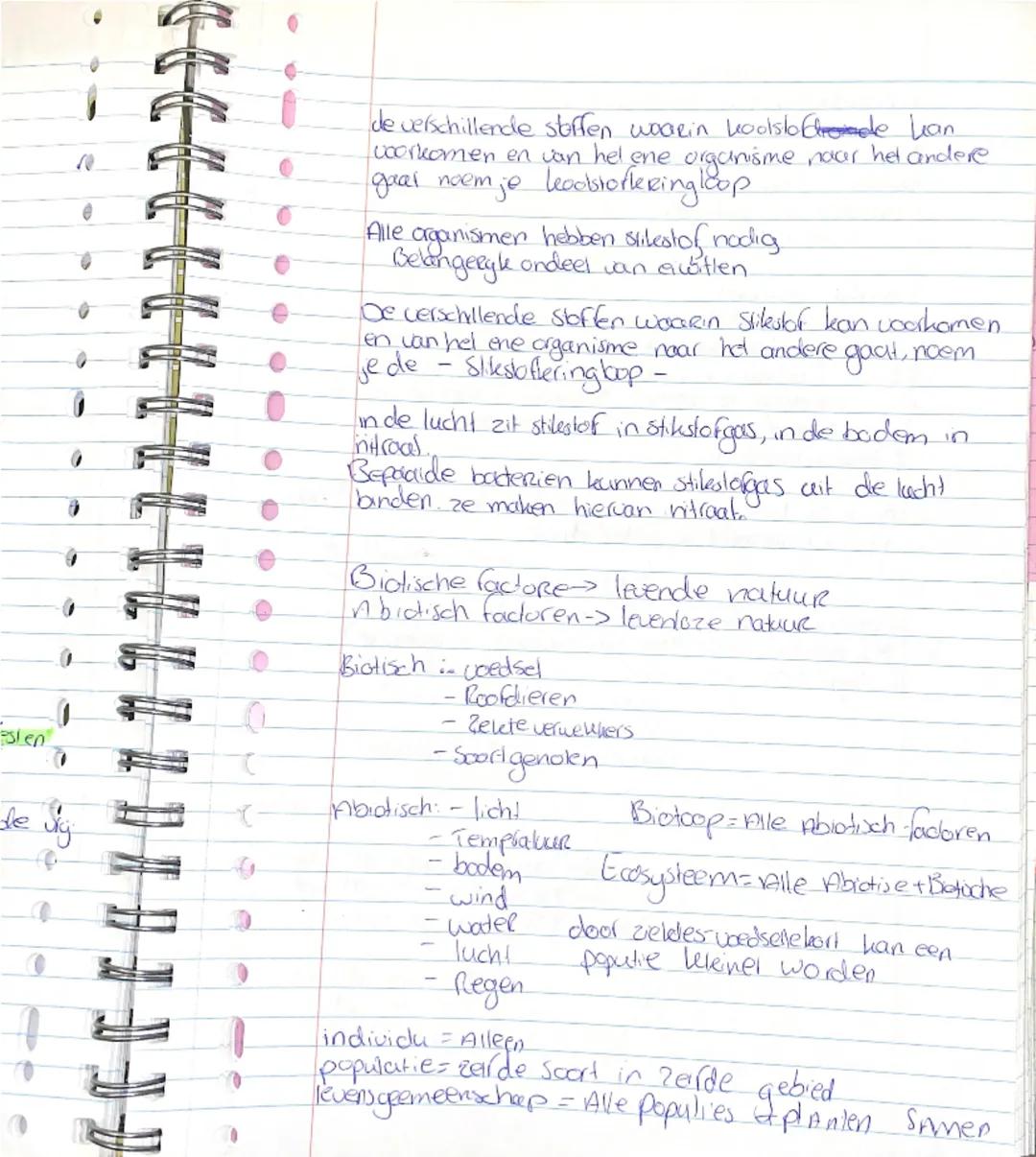 Bilogue-Ecologue-Basisstory

ten Rij organismen de elkaar tot voedsel dienen noemen we
een Coedselketeri
-Een ucedselleelen begint altijd me