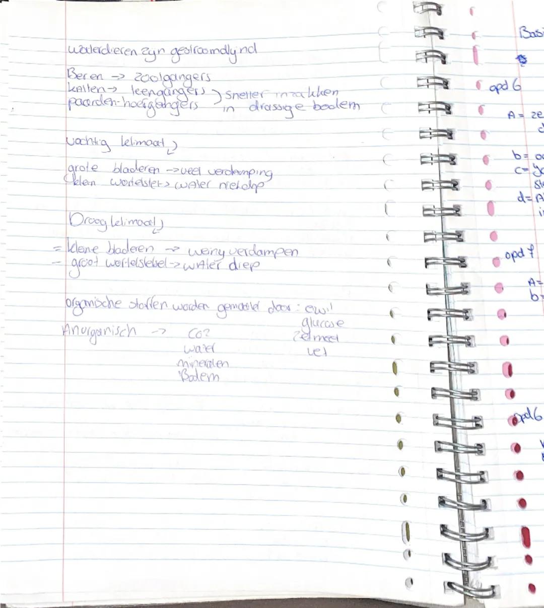 Bilogue-Ecologue-Basisstory

ten Rij organismen de elkaar tot voedsel dienen noemen we
een Coedselketeri
-Een ucedselleelen begint altijd me