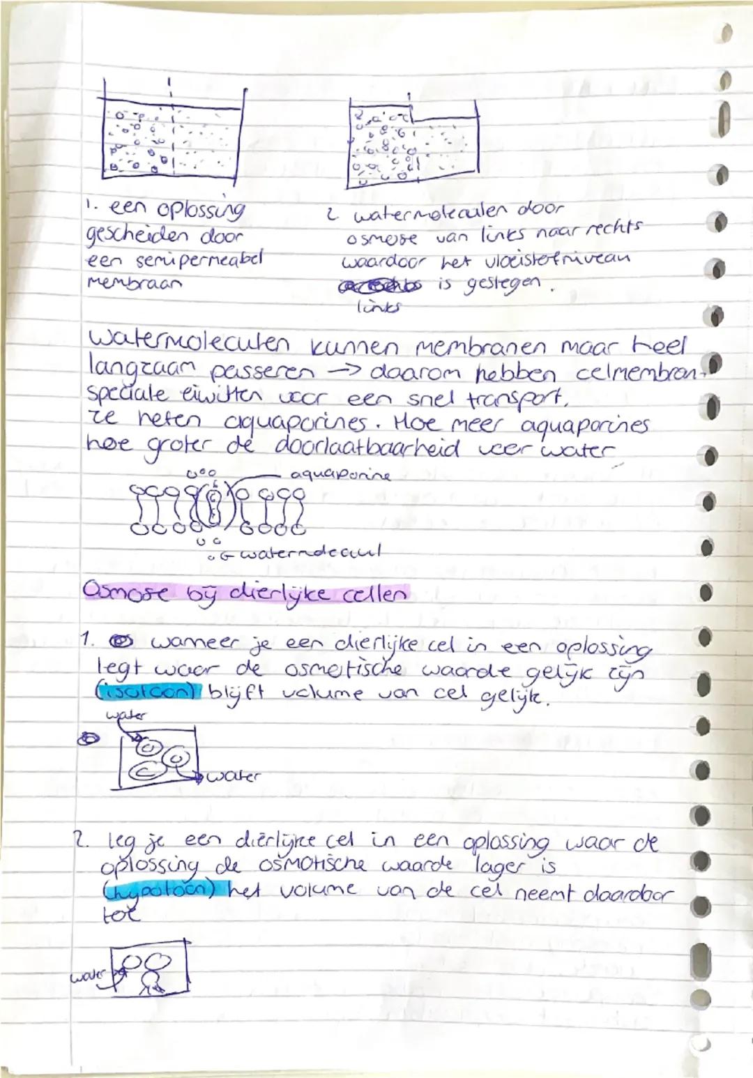 # basisstof 5: Transport Door membranen
concentratie

concentratie geeft de hoeveelheid
opgeloste stof in een bepaalde hoeveelheid
oplosmidd