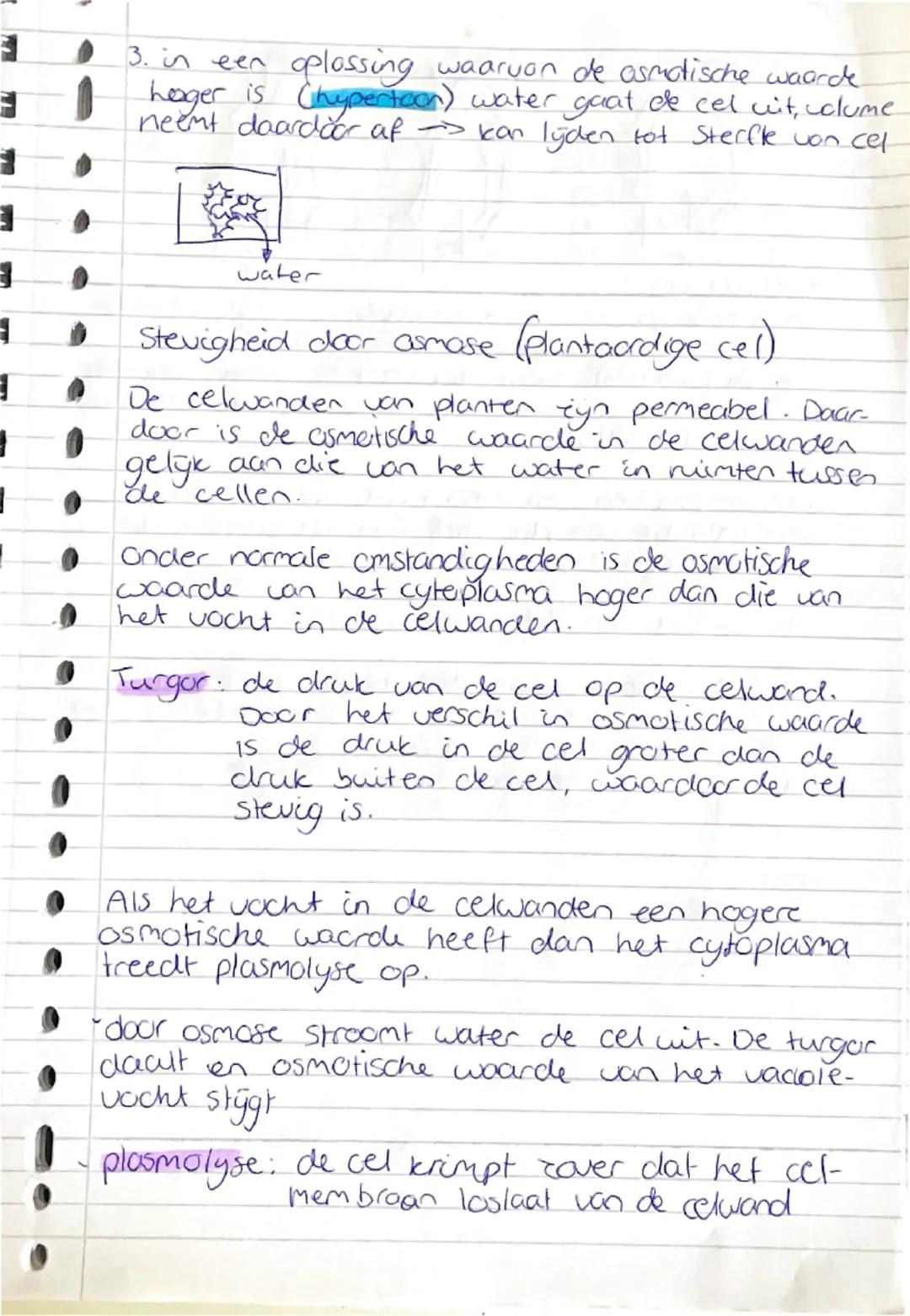 # basisstof 5: Transport Door membranen
concentratie

concentratie geeft de hoeveelheid
opgeloste stof in een bepaalde hoeveelheid
oplosmidd