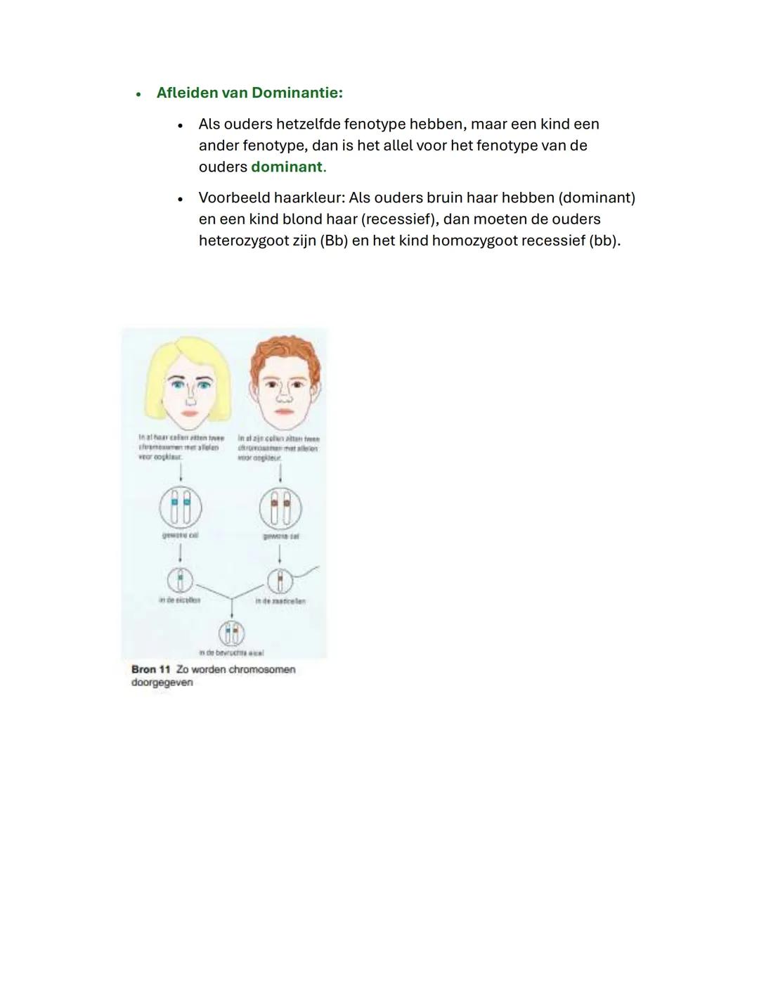 # Hoofdstuk 1

De basis van erfelijkheid

• Bouwtekening: de erfelijke informatie ligt opgeslagen
in de chromosomen in de celkern.
• Menseli