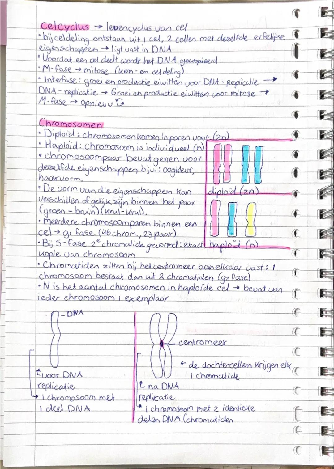 ## Biologie Thema 2: voortplanting en seksualiteit

### Basisstof 1:

**Ongeslachtelijke voortplanting**
- ontstaan nakomelingen uit 1 ouder