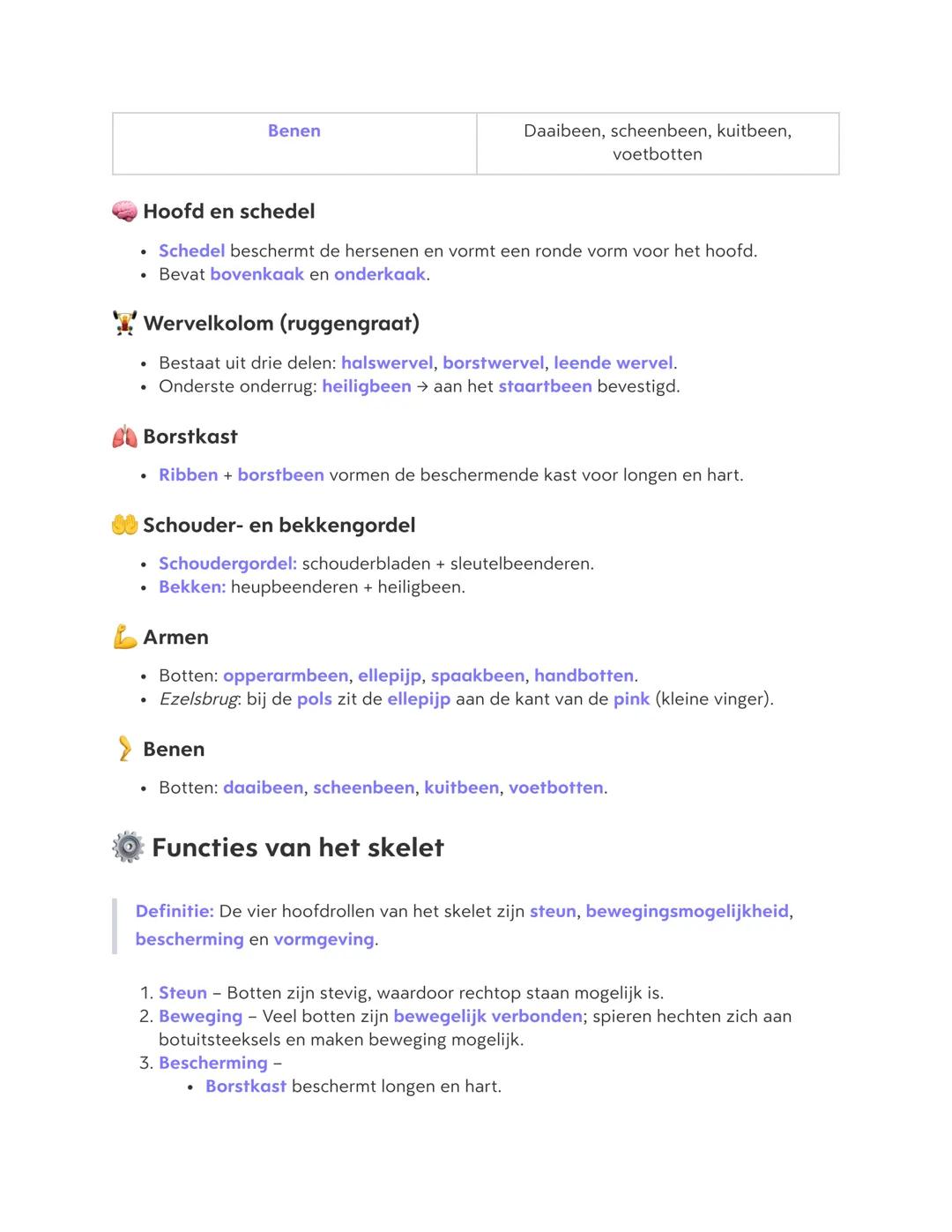 Benen

Daaibeen, scheenbeen, kuitbeen,
voetbotten

## Hoofd en schedel

*   Schedel beschermt de hersenen en vormt een ronde vorm voor het h