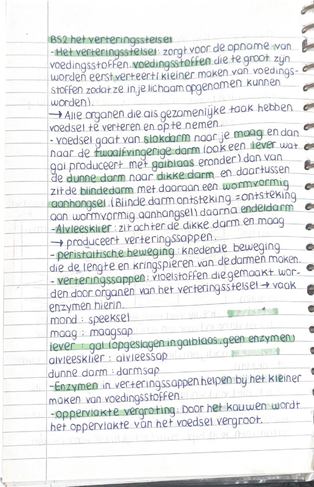 BS2 het verteringsstelsel
-Het verteringsstelsel: zorgt voor de opname van
voedingsstoffen voedingsstoffen die te groot zijn
worden eerst ve