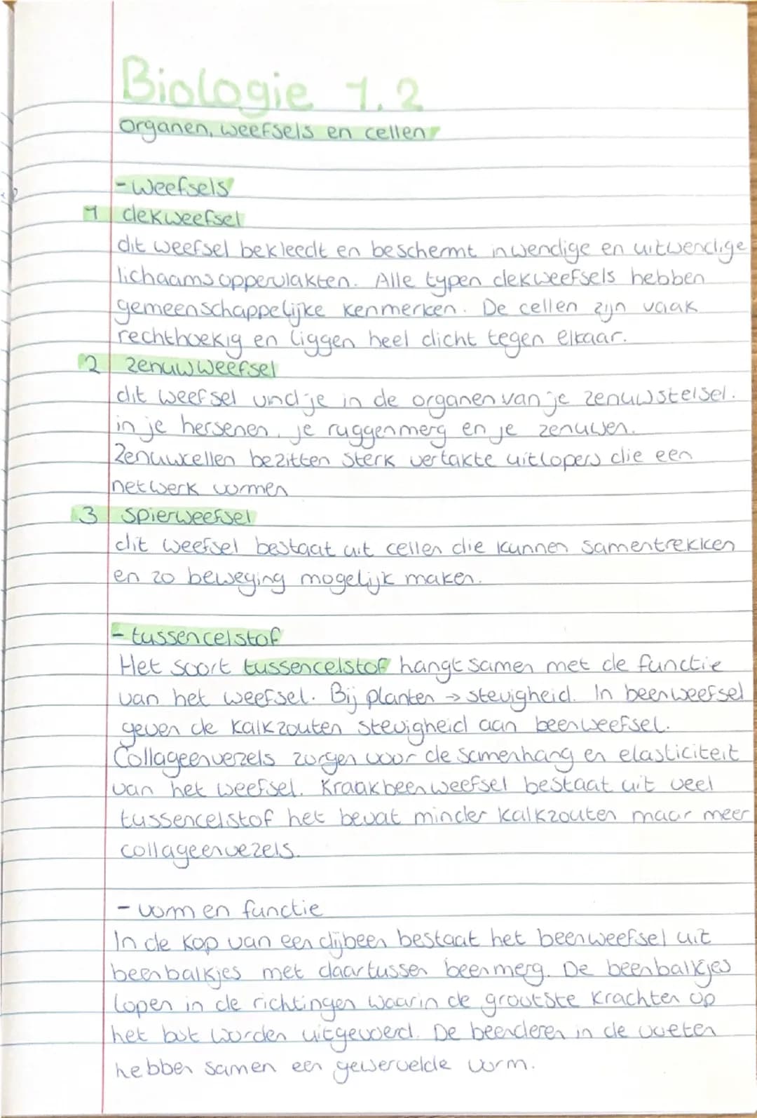 # Biologie 1.2
Organen, weefsels en cellen

-weefsels

1 clekweefsel
dit weefsel bekleedt en beschermt inwendige en uitwenclige
lichaams opp