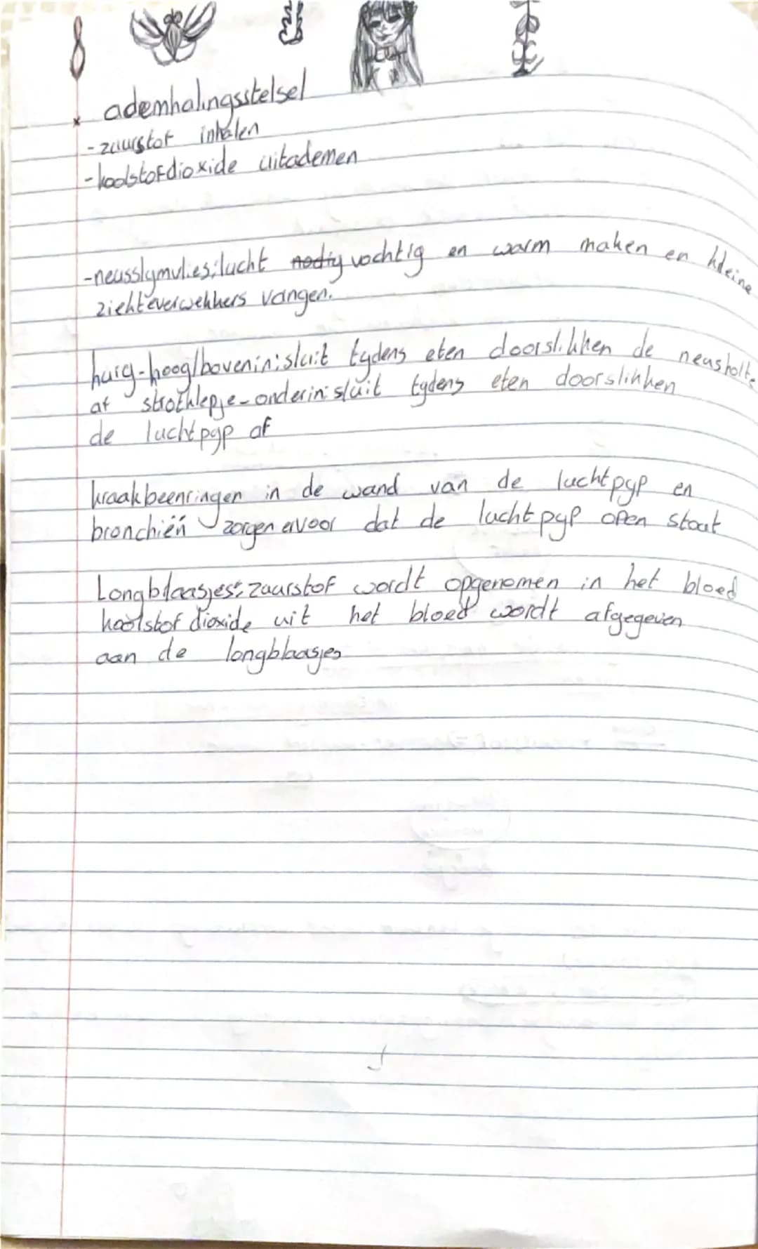 Ademhalingsstelsel bio vmbo-tl