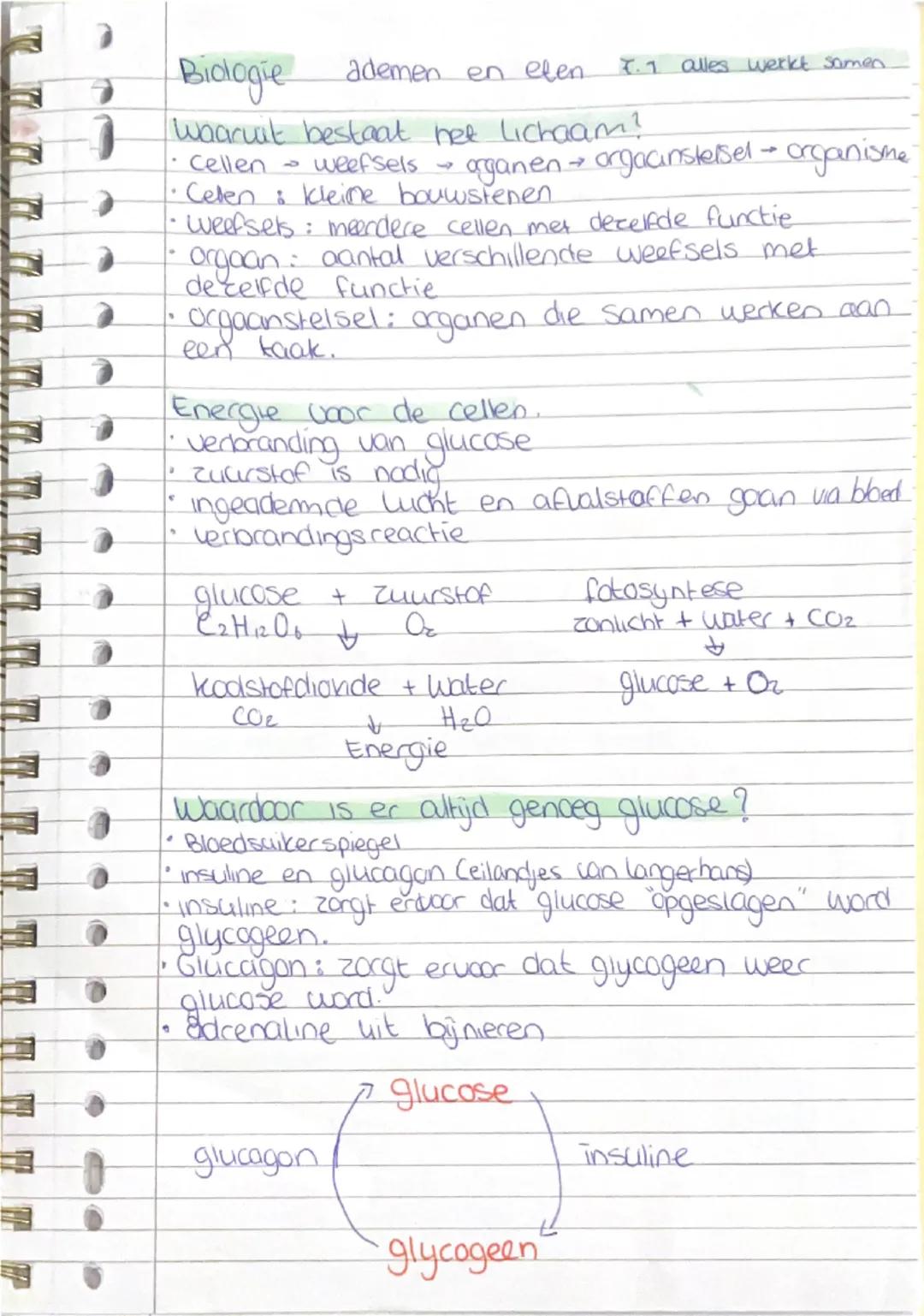 Biologie
ademen en elen 7.1 alles werkt samen.

Waaruit bestaat het lichaam?
- cellen $\rightarrow$ weefsels $\rightarrow$ organen $\rightar