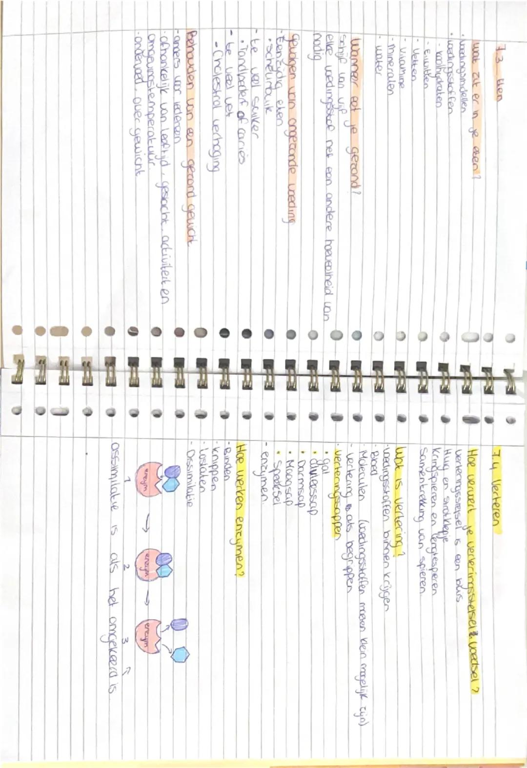 Biologie
ademen en elen 7.1 alles werkt samen.

Waaruit bestaat het lichaam?
- cellen $\rightarrow$ weefsels $\rightarrow$ organen $\rightar
