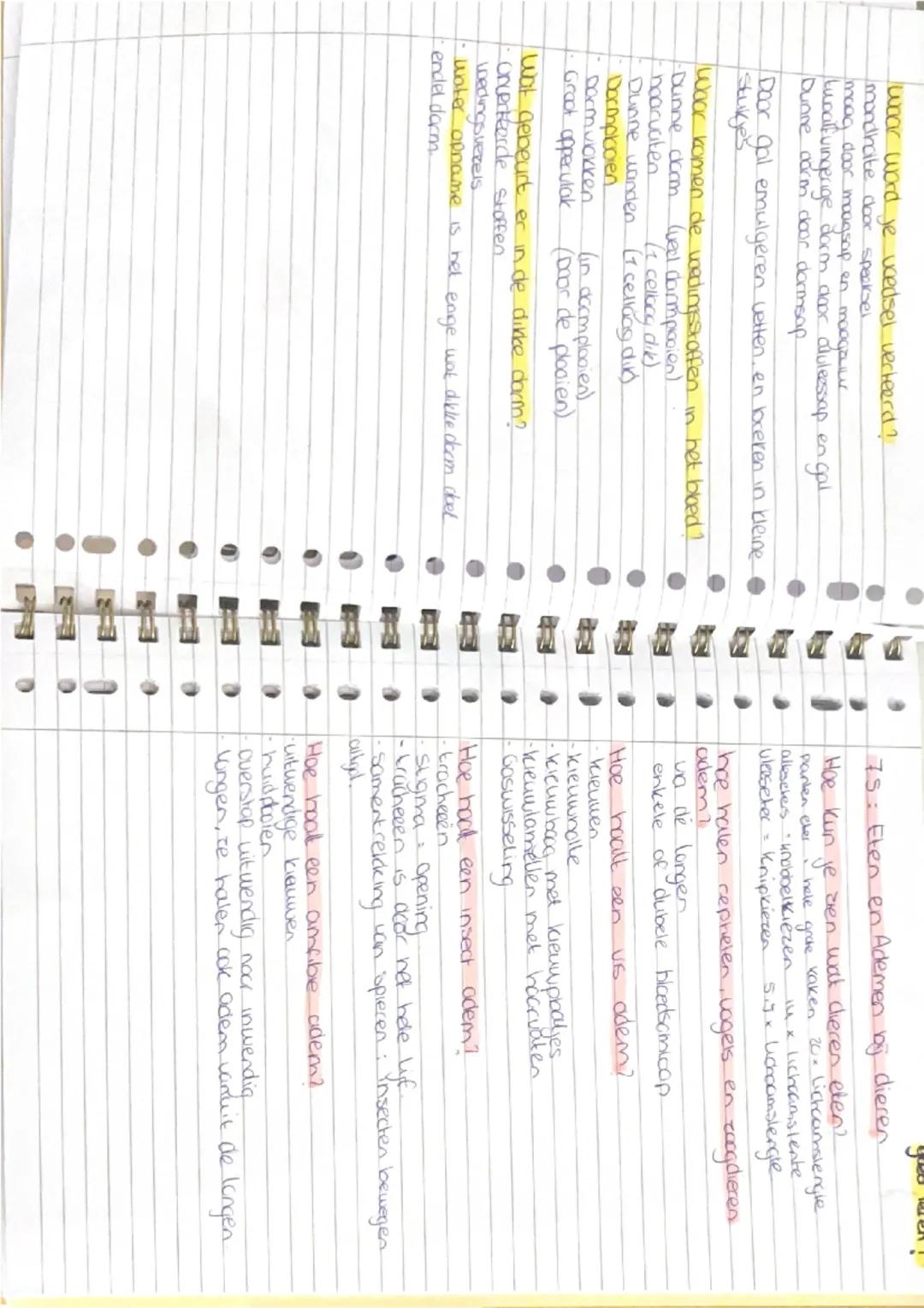 Biologie
ademen en elen 7.1 alles werkt samen.

Waaruit bestaat het lichaam?
- cellen $\rightarrow$ weefsels $\rightarrow$ organen $\rightar