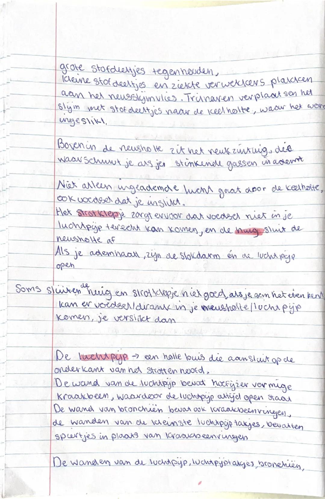 # BIOLOGIE GUYOT

ADVOCATEN

H1: verbranding en ademhaling

§1

Als het licht is vindt in de groene deren van planten fotosynthese
plaats.

