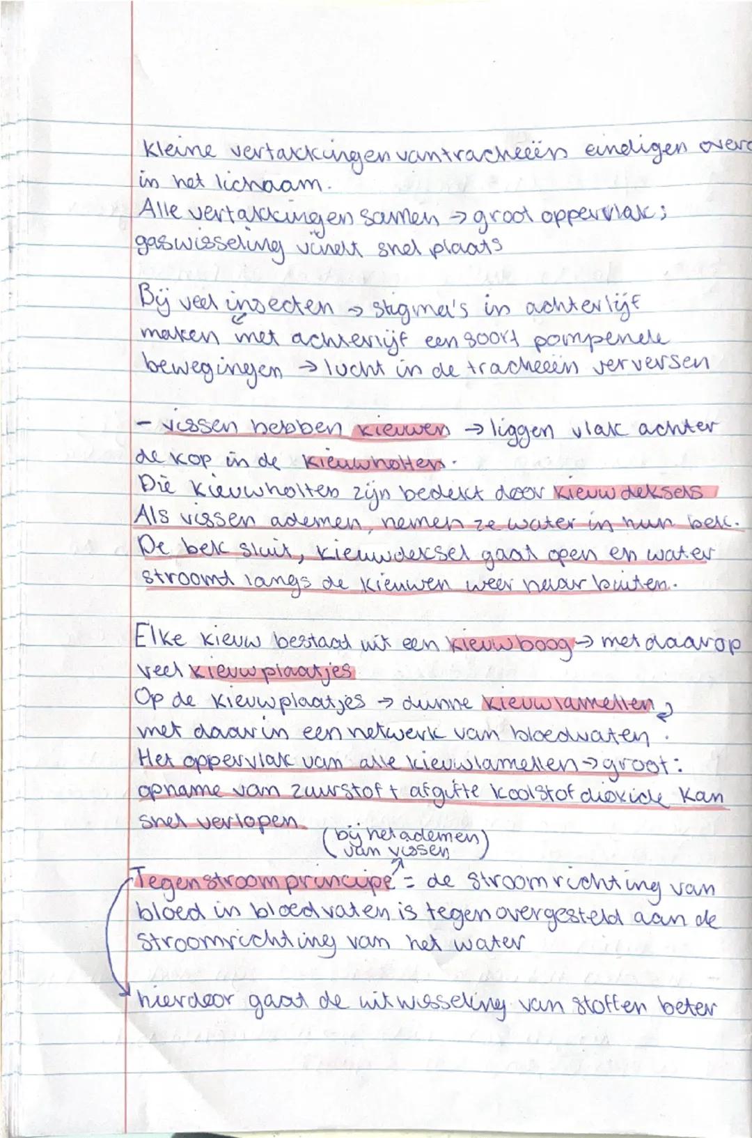 # BIOLOGIE GUYOT

ADVOCATEN

H1: verbranding en ademhaling

§1

Als het licht is vindt in de groene deren van planten fotosynthese
plaats.

