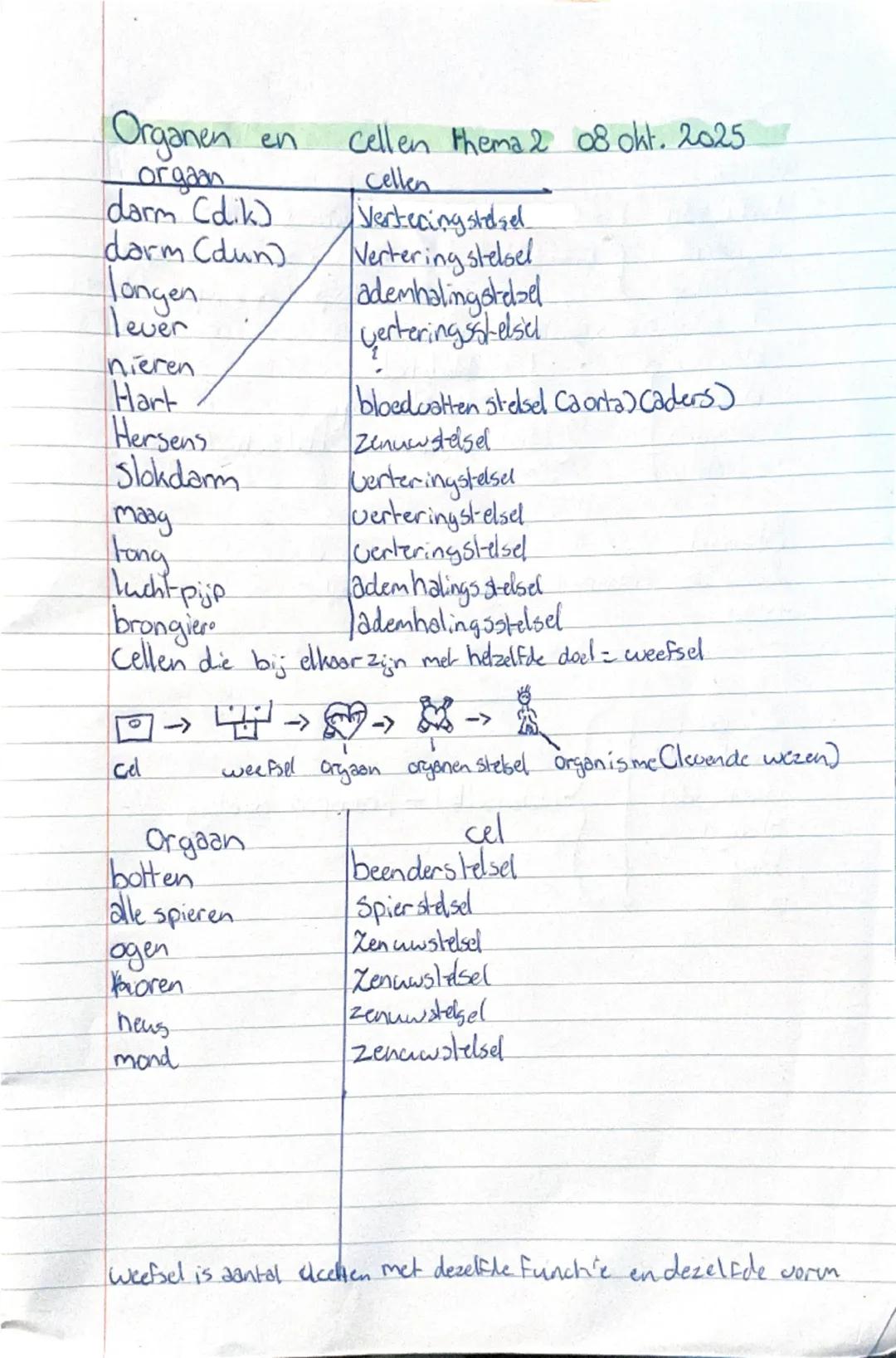 Organen en cellen thema 2 08 okt. 2025

orgaan | cellen
---|---
darm (dik) | Vertecingstelsel
darm (dun) | Vertering stelsel
Jongen | ademha