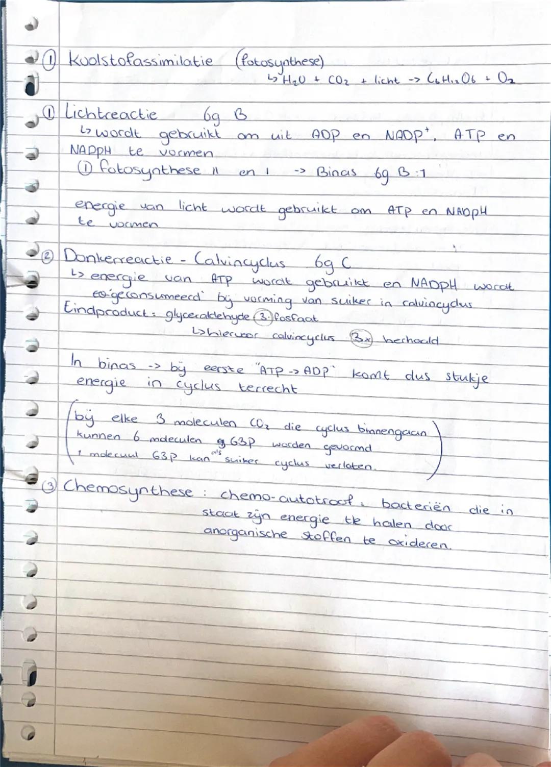 Biologie - Stofwisseling
anorganisch : 0/1 C-atomen
organisch : 2/1+ C-atomen
Assimilatie : opbouw organische moleculen
energie wordt gebrui