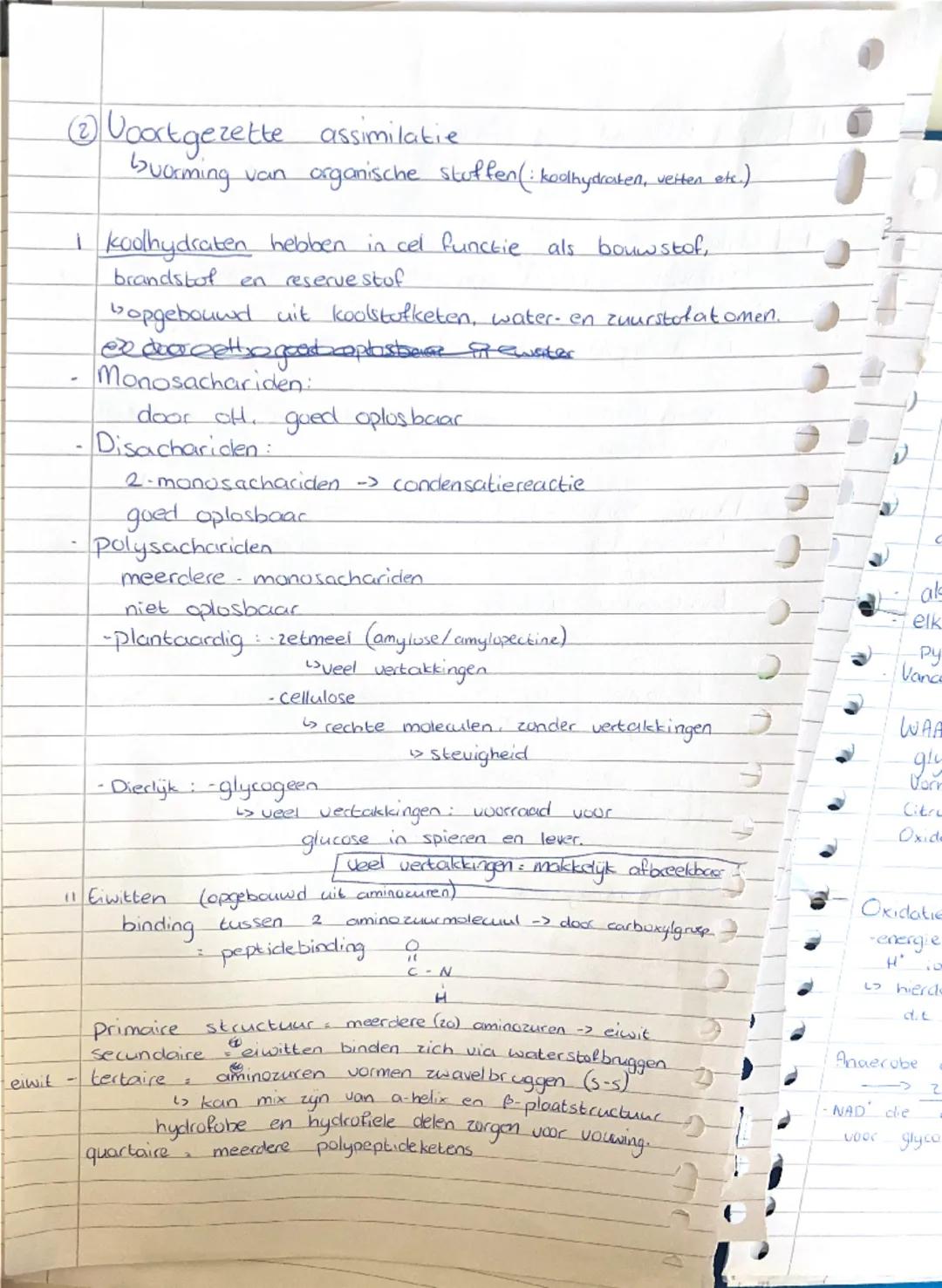 Biologie - Stofwisseling
anorganisch : 0/1 C-atomen
organisch : 2/1+ C-atomen
Assimilatie : opbouw organische moleculen
energie wordt gebrui