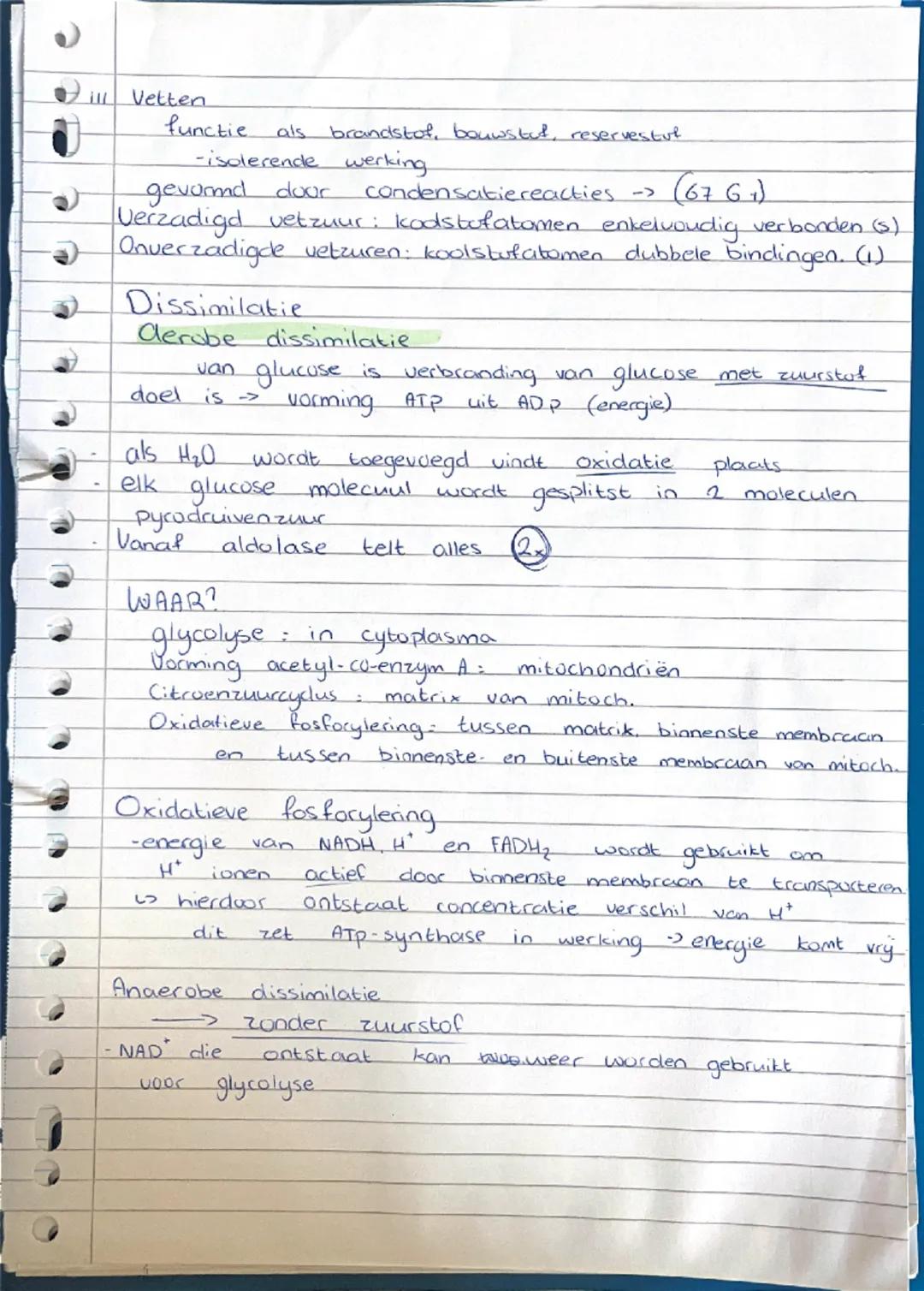 Biologie - Stofwisseling
anorganisch : 0/1 C-atomen
organisch : 2/1+ C-atomen
Assimilatie : opbouw organische moleculen
energie wordt gebrui